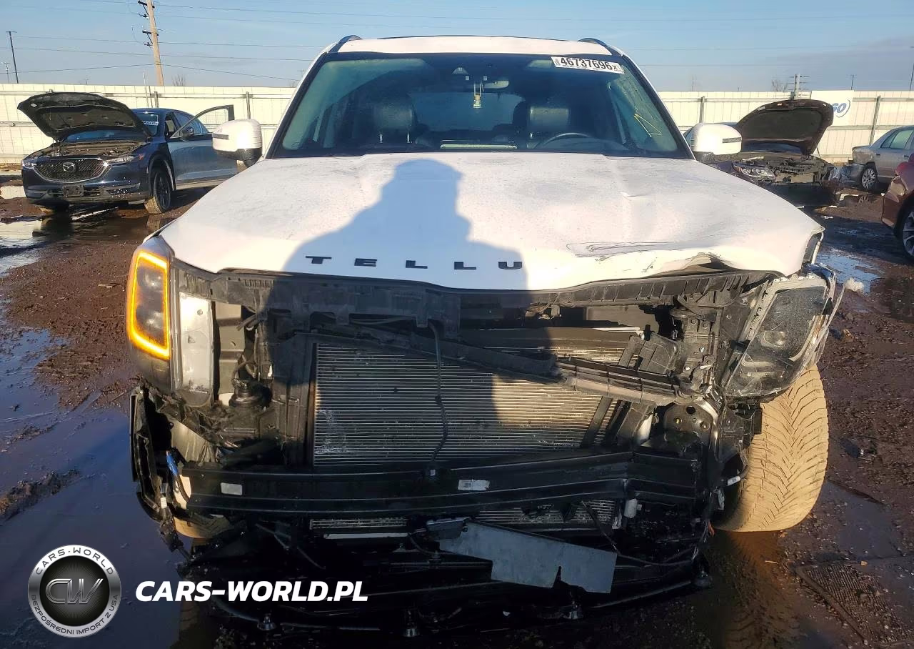2022 Kia Telluride Sx VIN:5XYP5DHC2NG209103 - 5