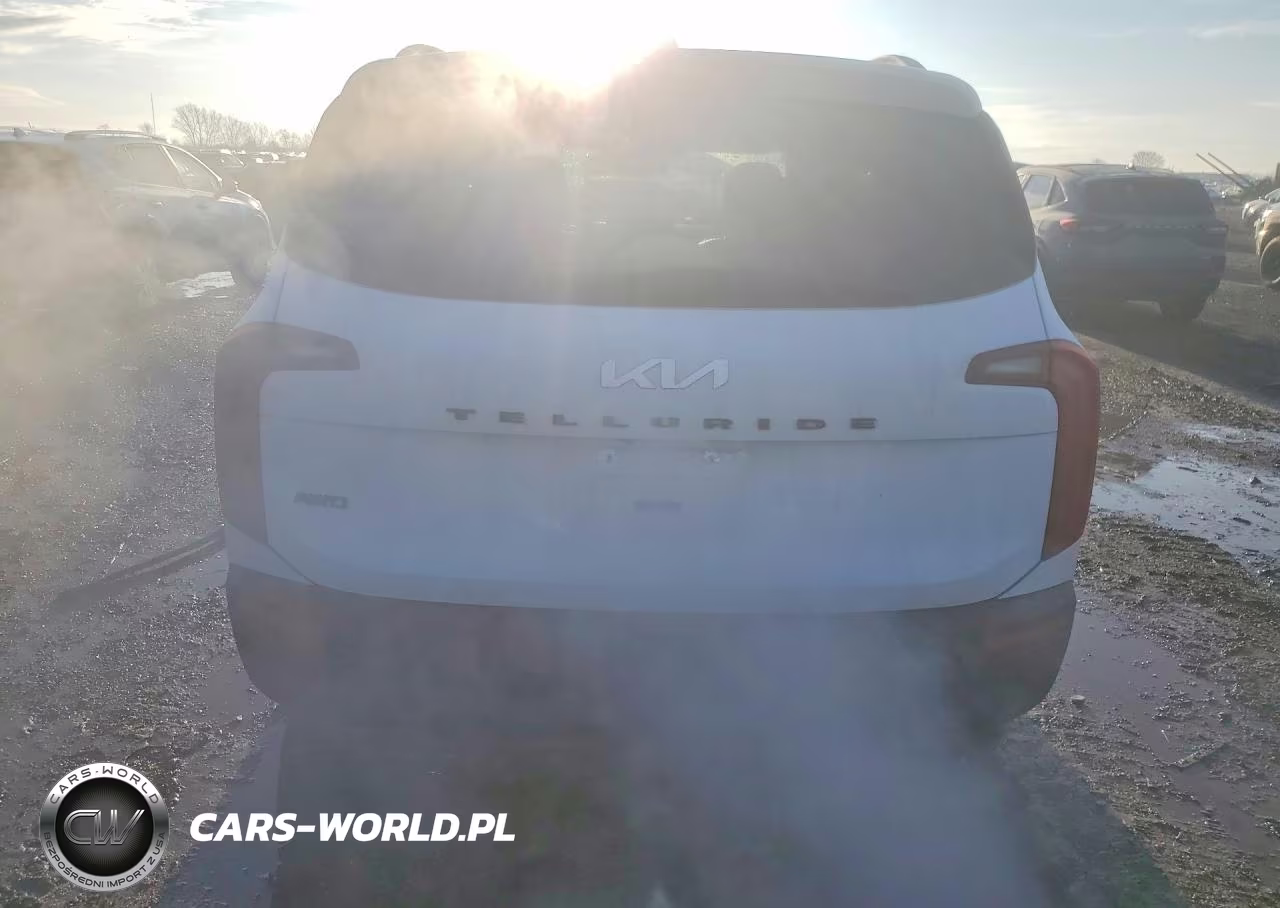 2022 Kia Telluride Sx VIN:5XYP5DHC2NG209103 - 6