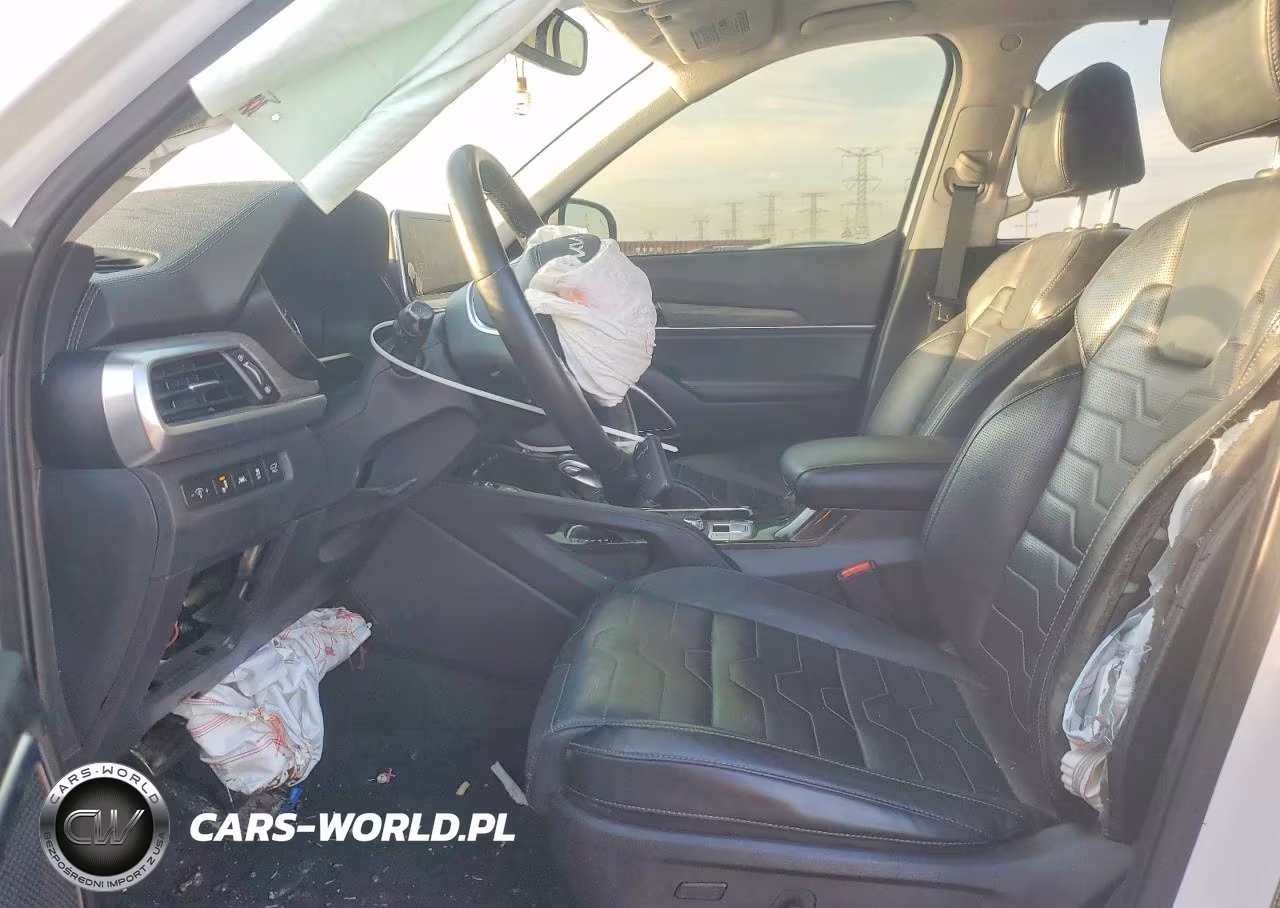 2022 Kia Telluride Sx VIN:5XYP5DHC2NG209103 - 7