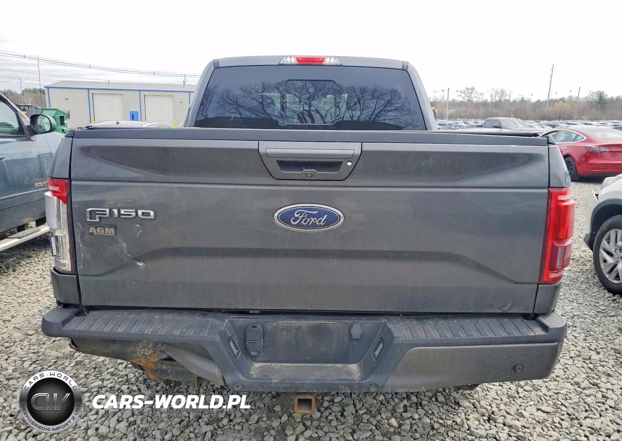 2015 Ford F150 Supercrew VIN:1FTEW1EG8FFA43622 - 6