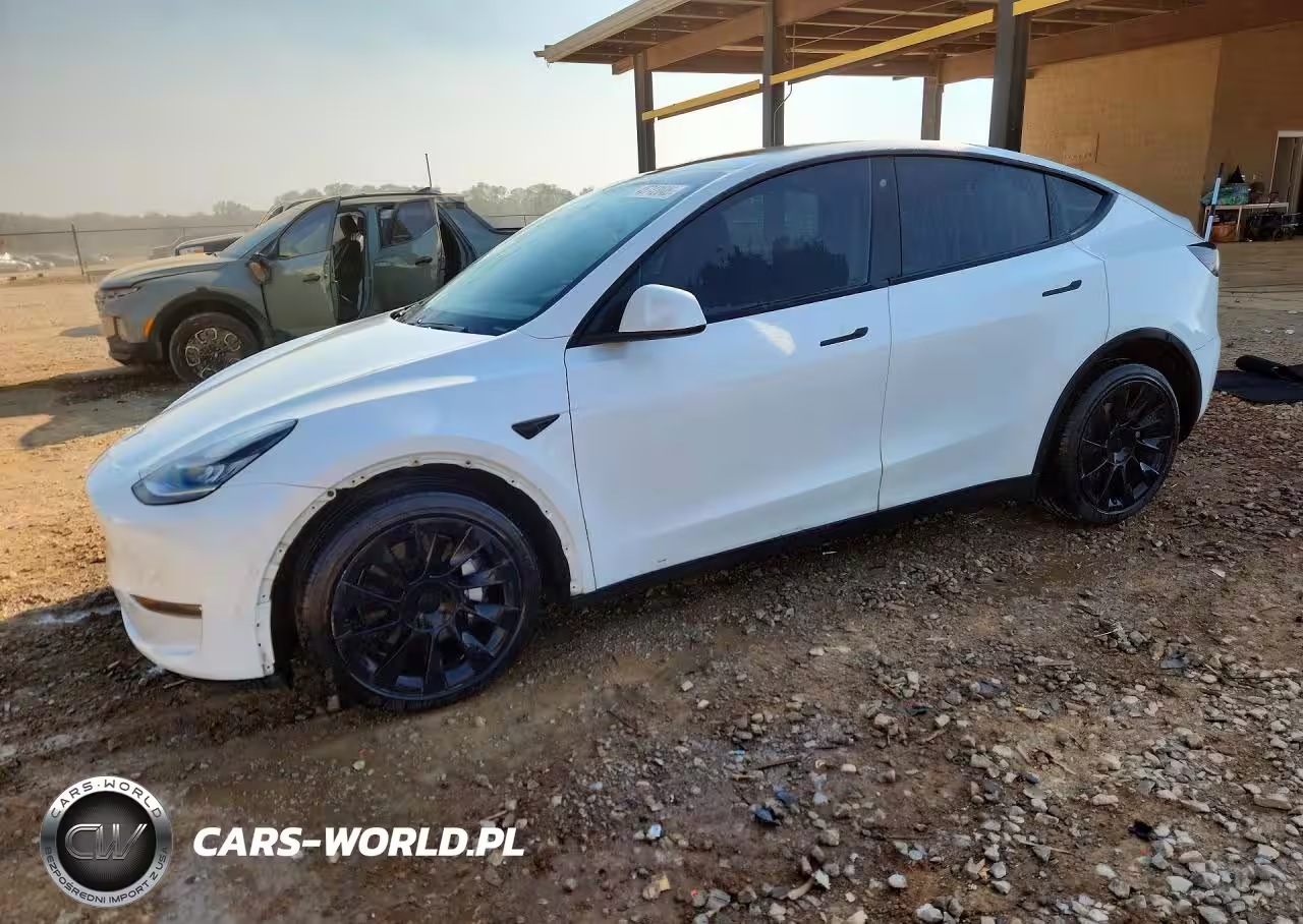 2020 Tesla Model Y