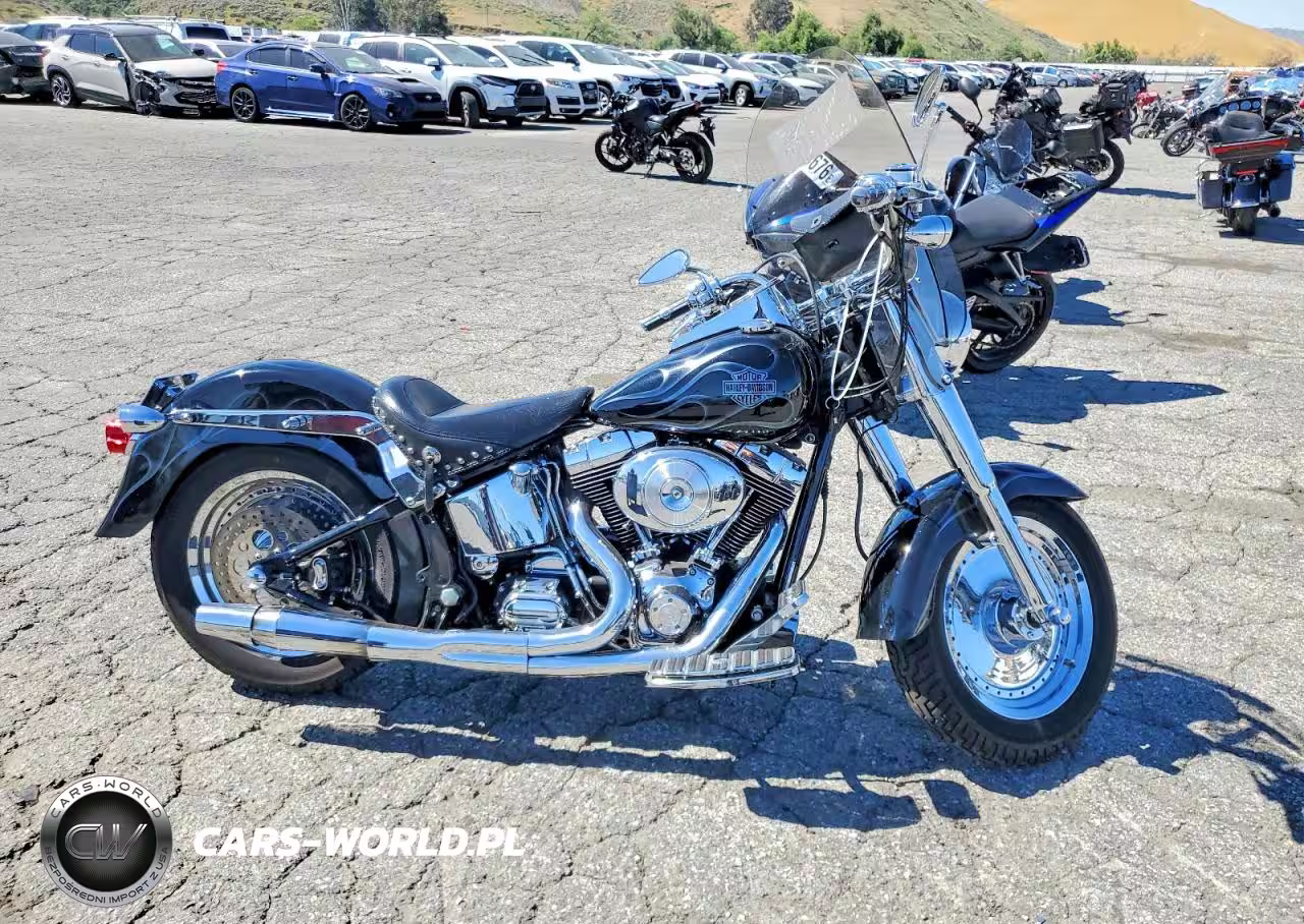 2004 Harley Davidson Flstf