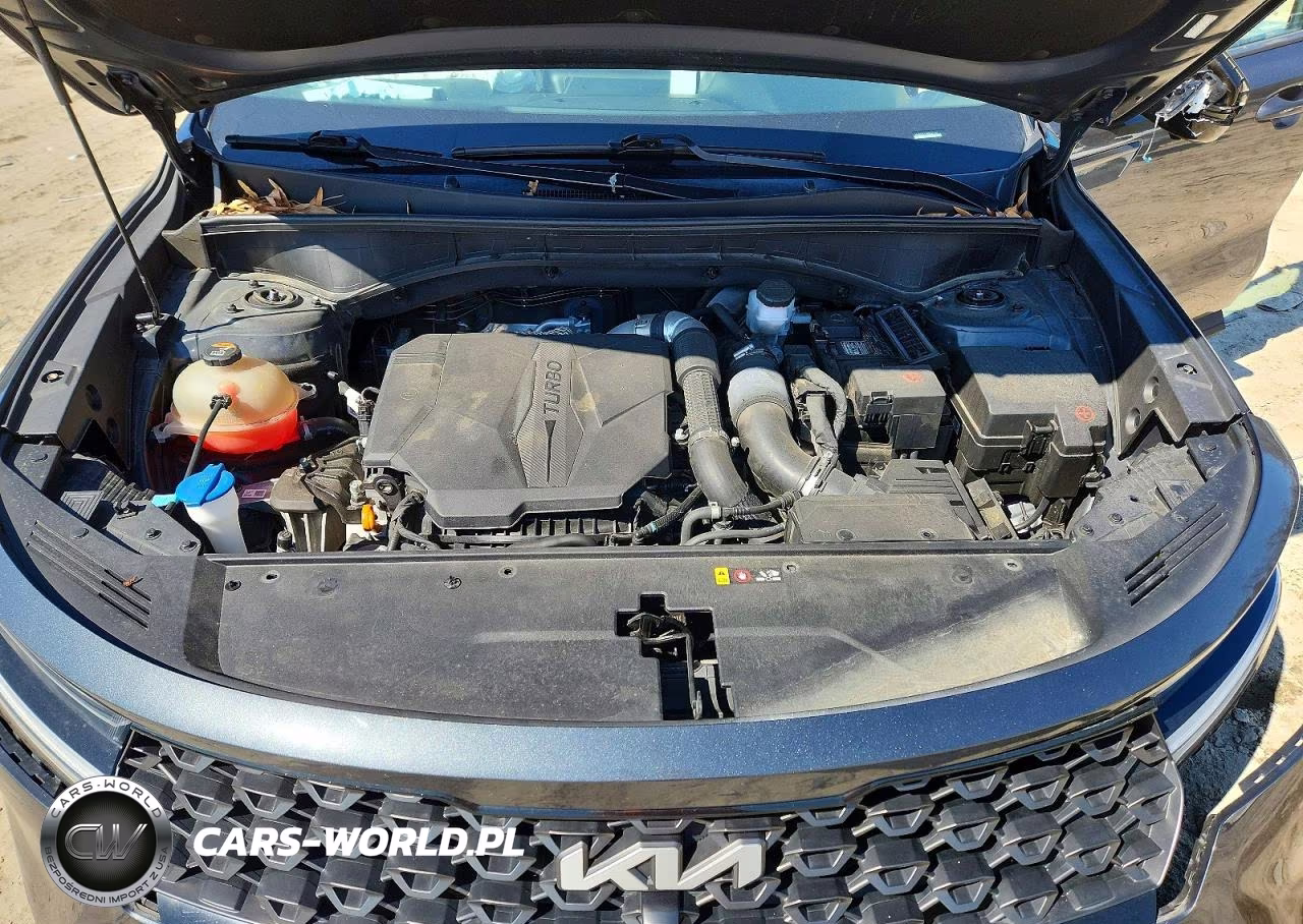 2022 Kia Sorento X-Line Sx Prestige VIN:5XYRKDLF3NG092781 - 12