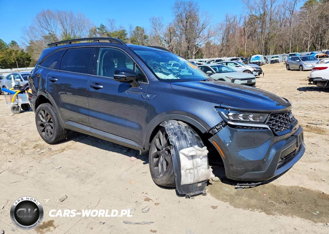 2022 Kia Sorento X-Line Sx Prestige VIN:5XYRKDLF3NG092781 - 4