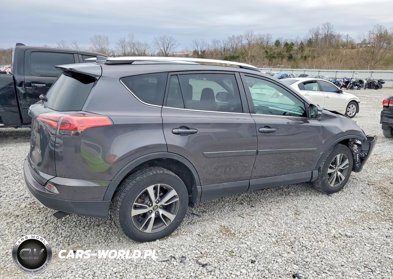 2016 Toyota Rav4 Xle VIN:2T3WFREV4GW252874 - 3