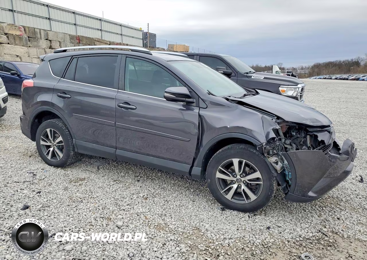 2016 Toyota Rav4 Xle VIN:2T3WFREV4GW252874 - 4