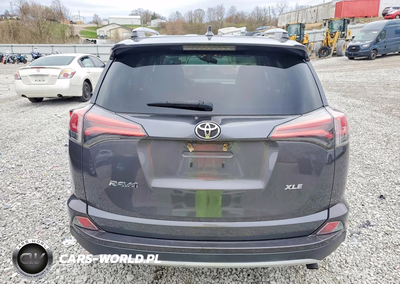 2016 Toyota Rav4 Xle VIN:2T3WFREV4GW252874 - 6