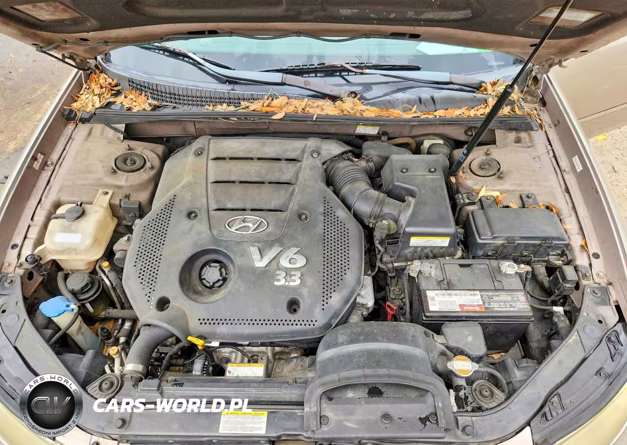 2008 Hyundai Sonata Se V6 VIN:5NPEU46F18H318012 - 11