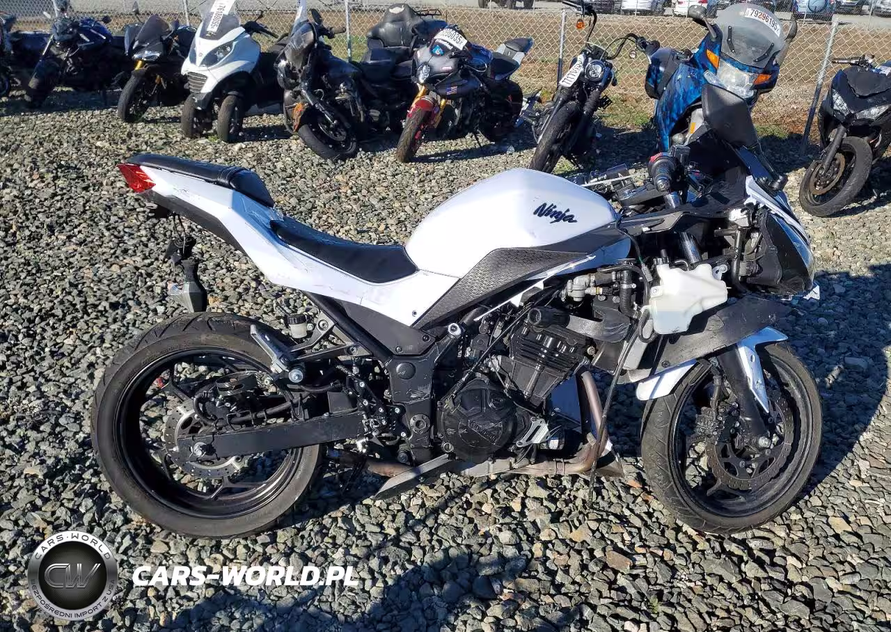 2013 Kawasaki Ex300 A