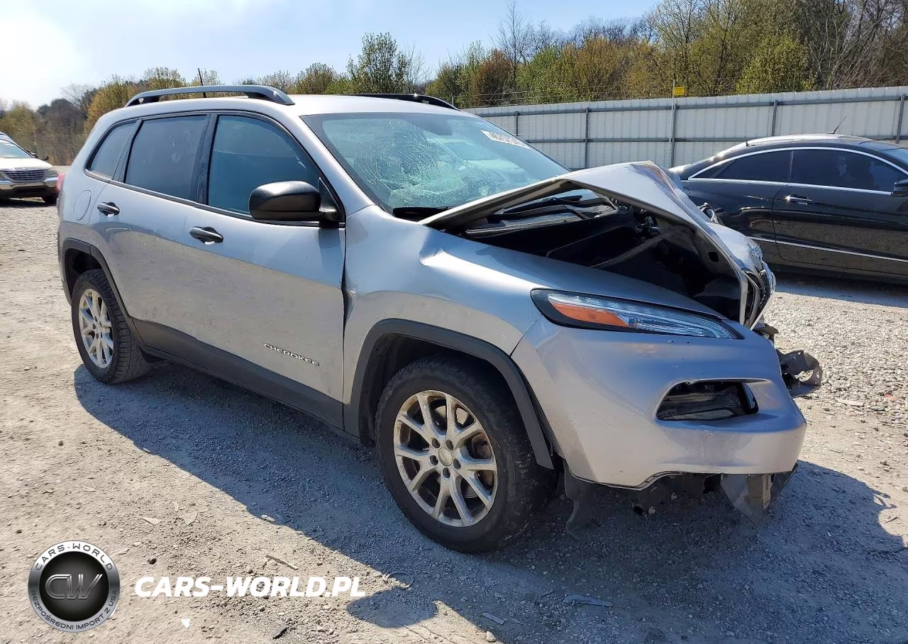 2017 Jeep Cherokee Sport VIN:1C4PJLAB9HW617659 - 4