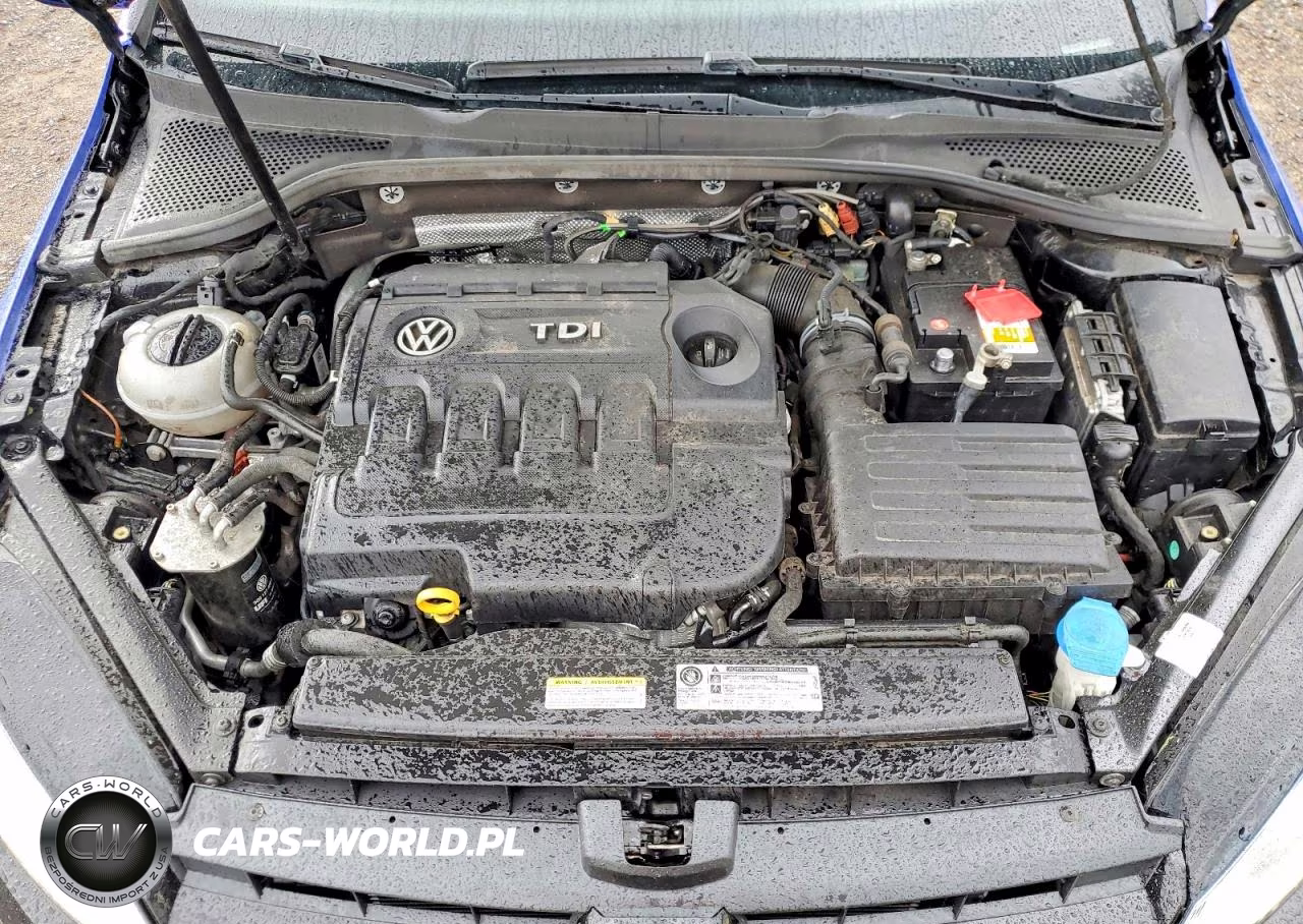 2015 Volkswagen Golf Sportwagen Tdi S VIN:3VWCA7AU4FM513386 - 12