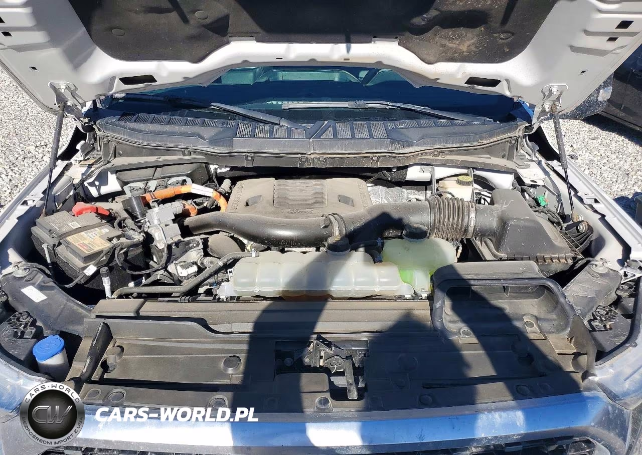 2023 Ford F150 Supercrew VIN:1FTFW1EDXPFB64308 - 11
