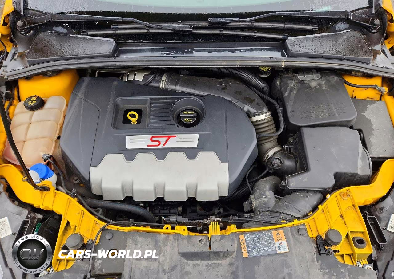 2015 Ford Focus St VIN:1FADP3L98FL246395 - 11