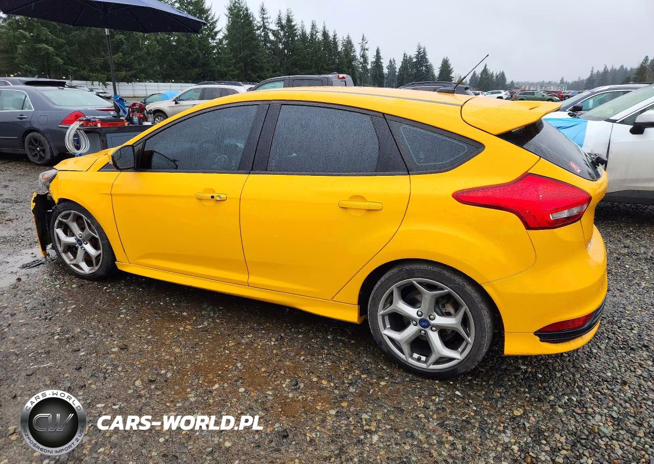 2015 Ford Focus St VIN:1FADP3L98FL246395 - 2