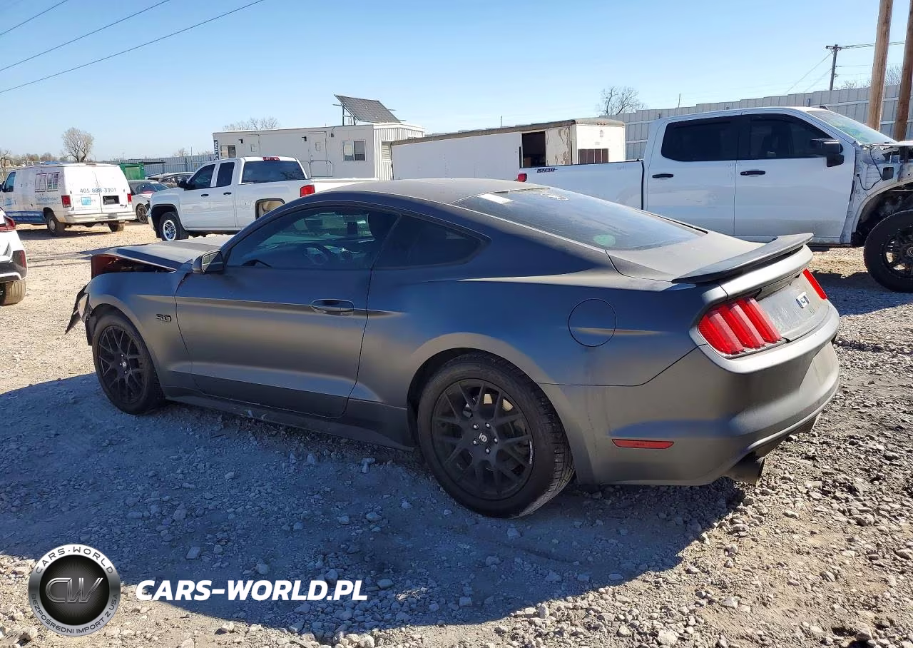 2015 Ford Mustang Gt VIN:1FA6P8CF7F5338131 - 2