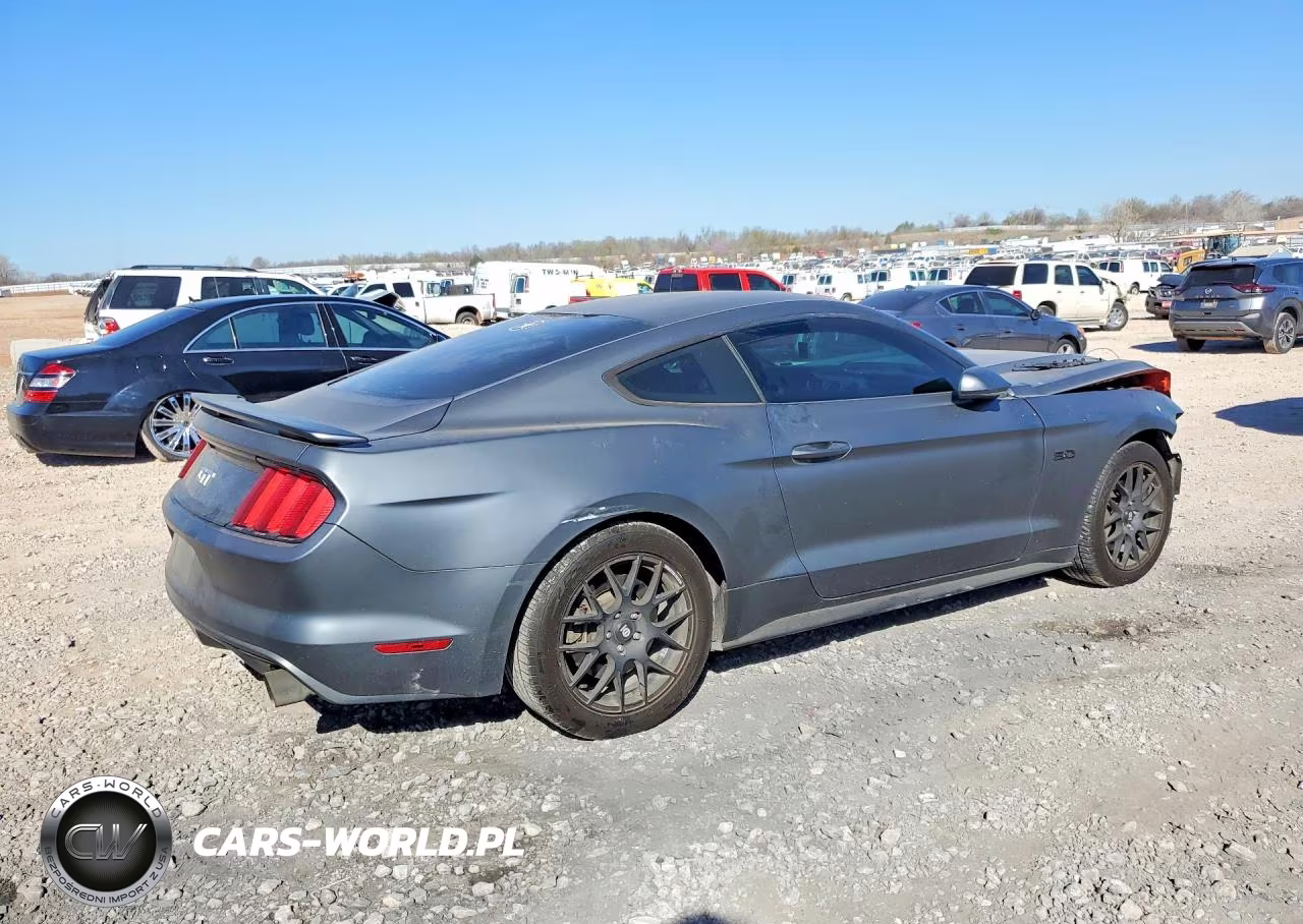 2015 Ford Mustang Gt VIN:1FA6P8CF7F5338131 - 3