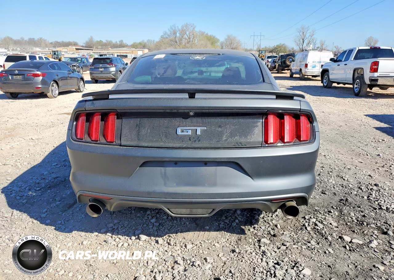 2015 Ford Mustang Gt VIN:1FA6P8CF7F5338131 - 6