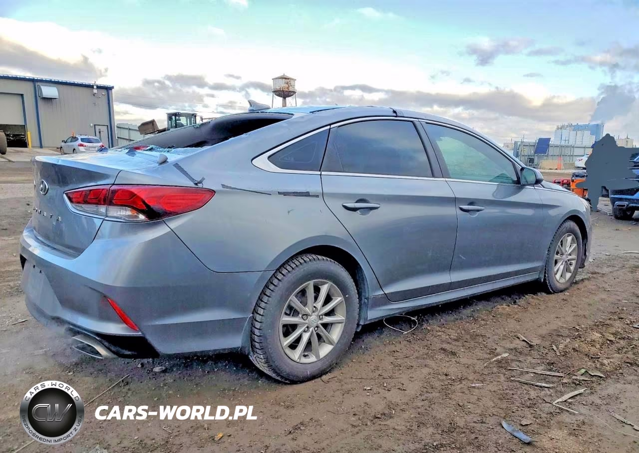 2019 Hyundai Sonata Se VIN:5NPE24AF6KH742984 - 3