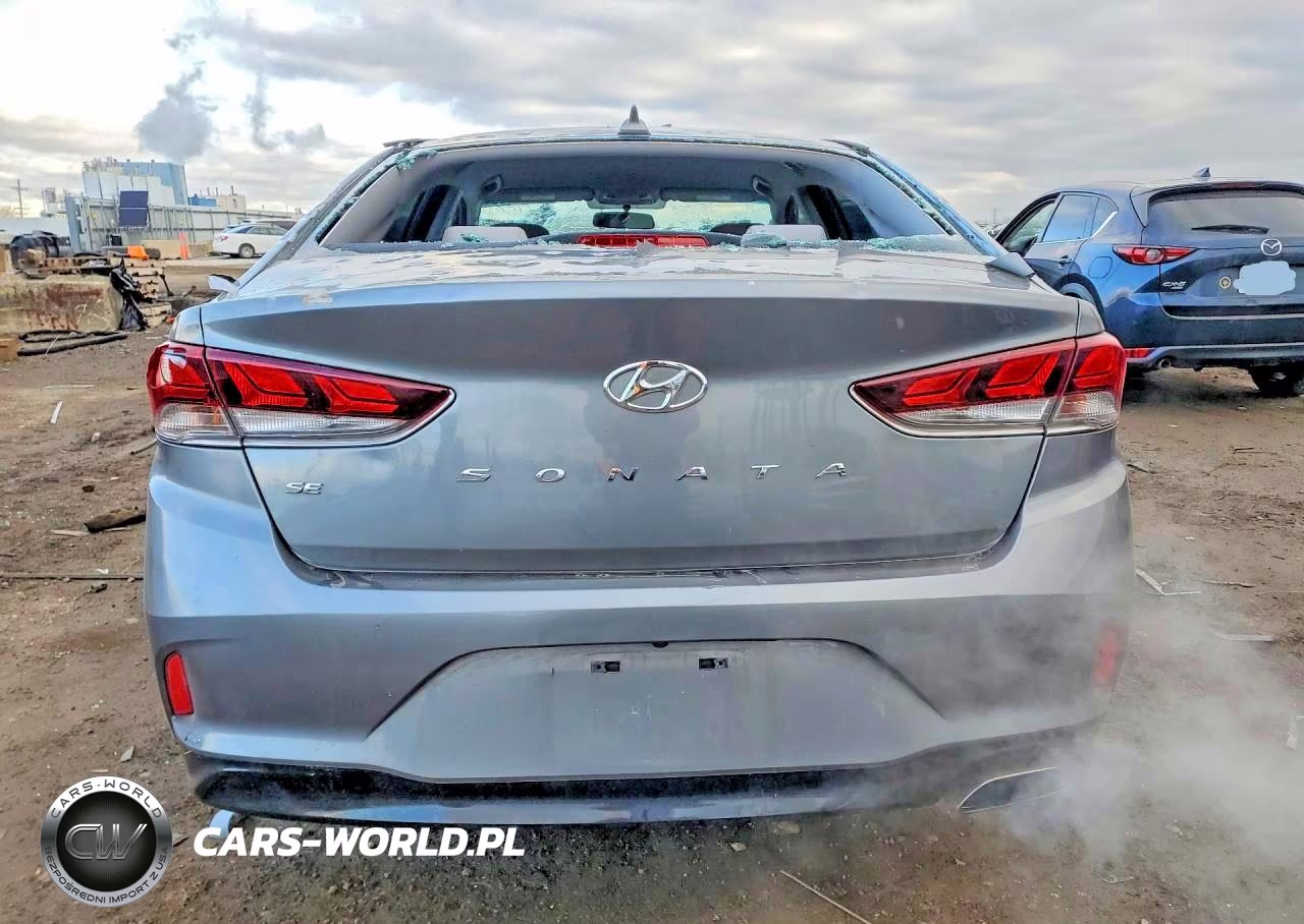 2019 Hyundai Sonata Se VIN:5NPE24AF6KH742984 - 6