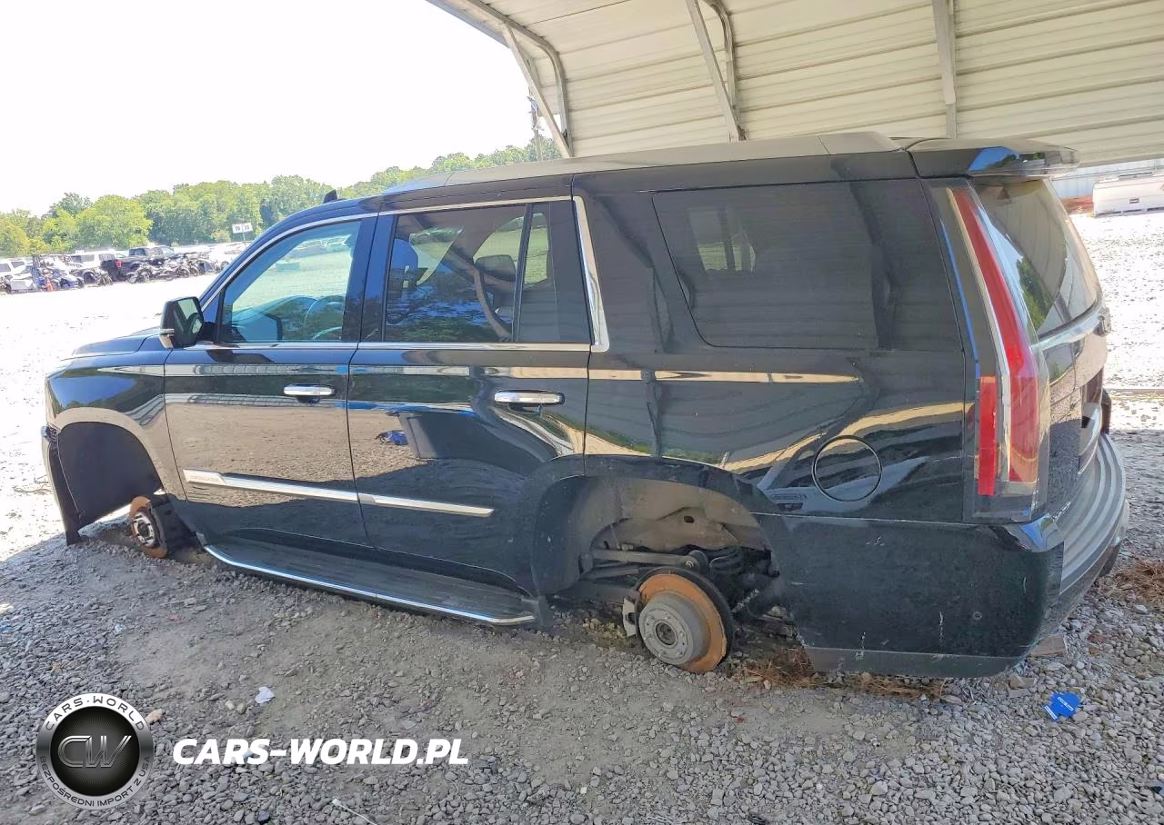 2019 Cadillac Escalade Luxury VIN:1GYS4BKJ7KR399254 - 2