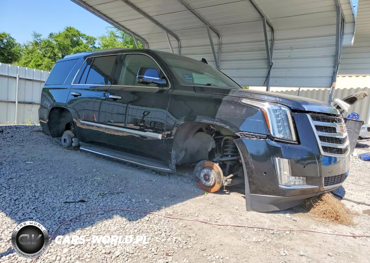 2019 Cadillac Escalade Luxury VIN:1GYS4BKJ7KR399254 - 4