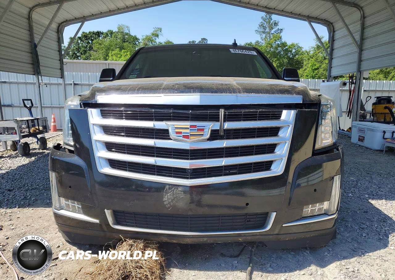 2019 Cadillac Escalade Luxury VIN:1GYS4BKJ7KR399254 - 5