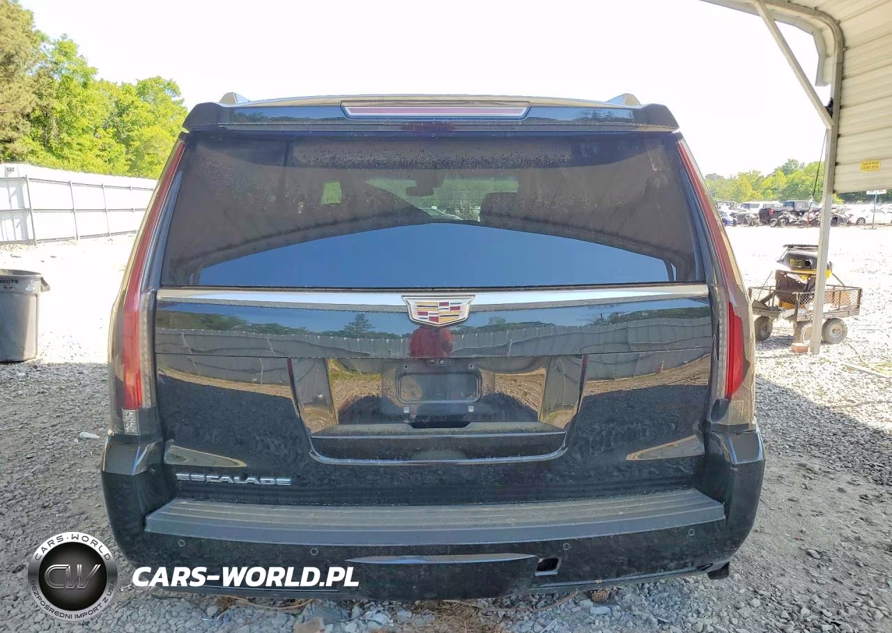 2019 Cadillac Escalade Luxury VIN:1GYS4BKJ7KR399254 - 6