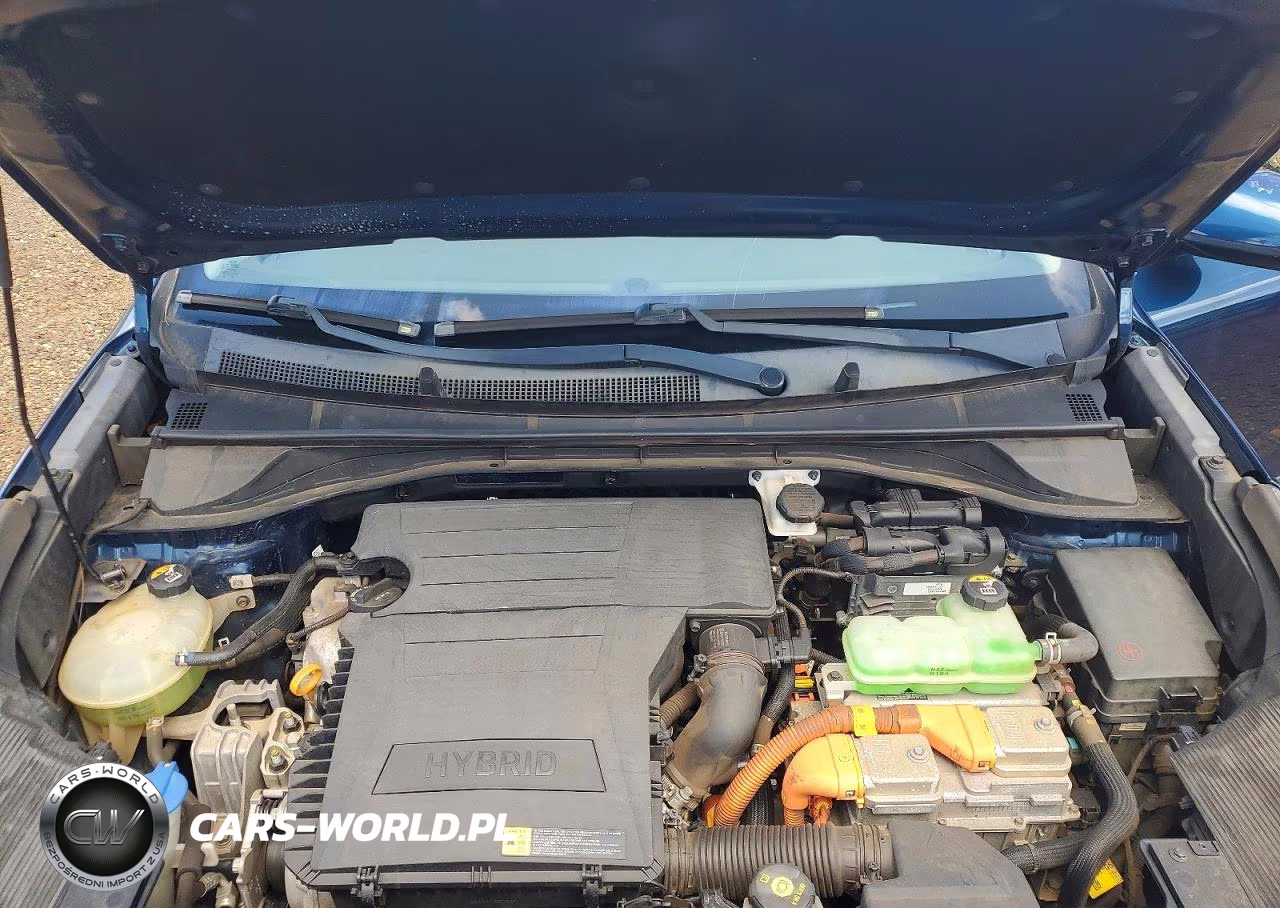 2019 Kia Niro Lx VIN:KNDCB3LC1K5310467 - 12