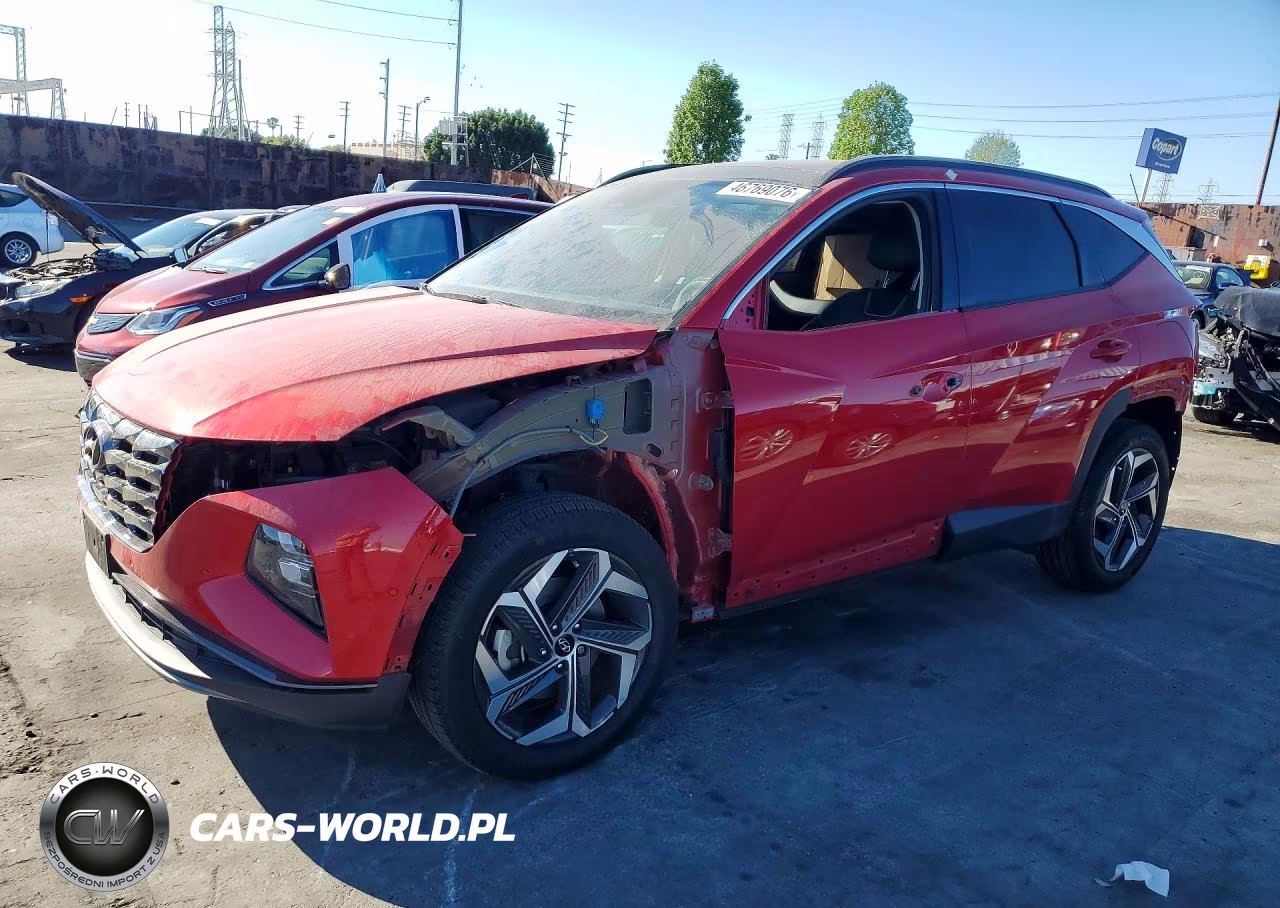 2023 Hyundai Tucson Limited VIN:5NMJECAEXPH237638 - 1