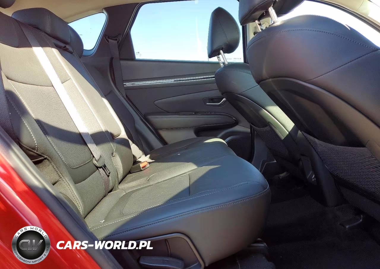 2023 Hyundai Tucson Limited VIN:5NMJECAEXPH237638 - 10