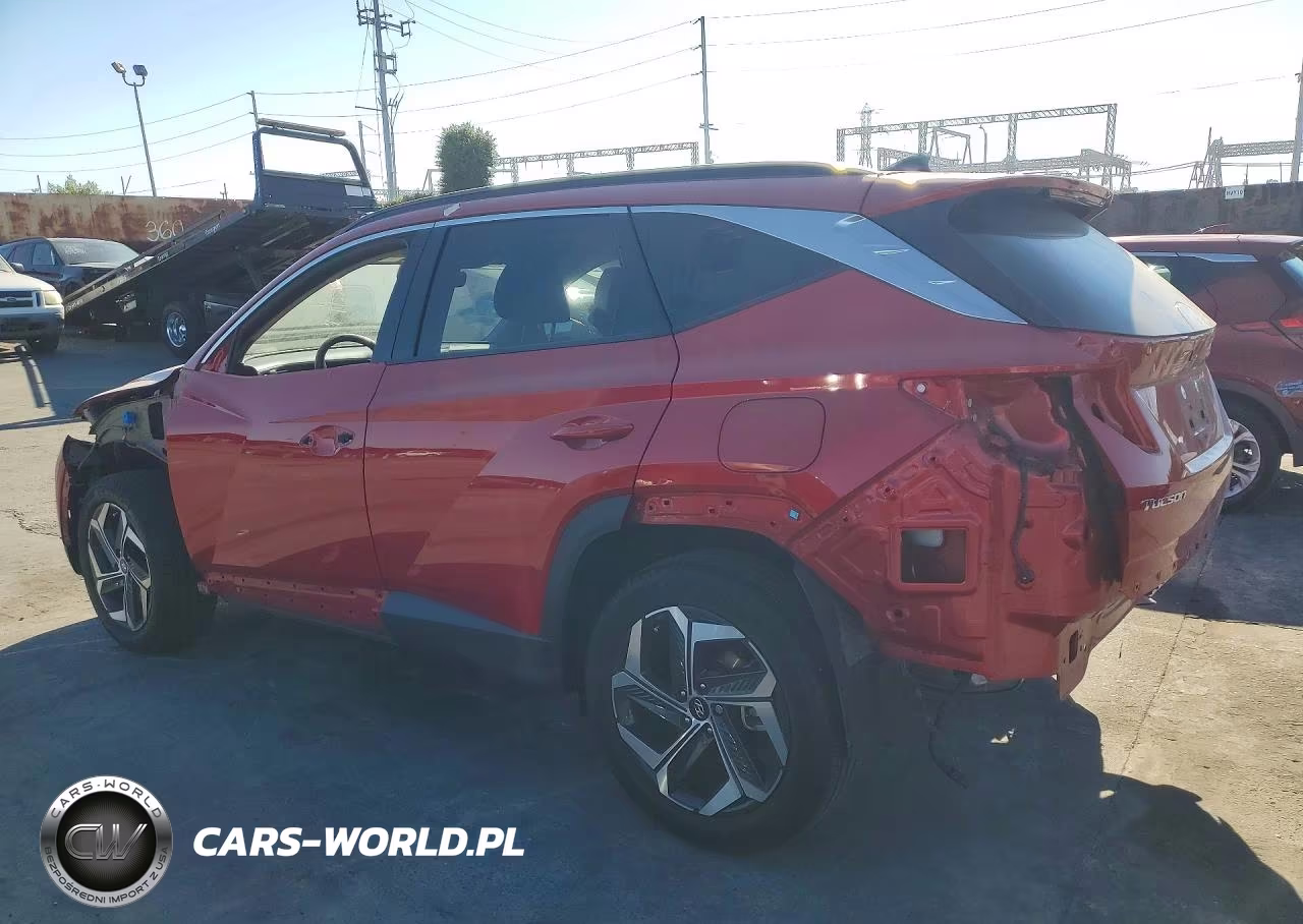 2023 Hyundai Tucson Limited VIN:5NMJECAEXPH237638 - 2