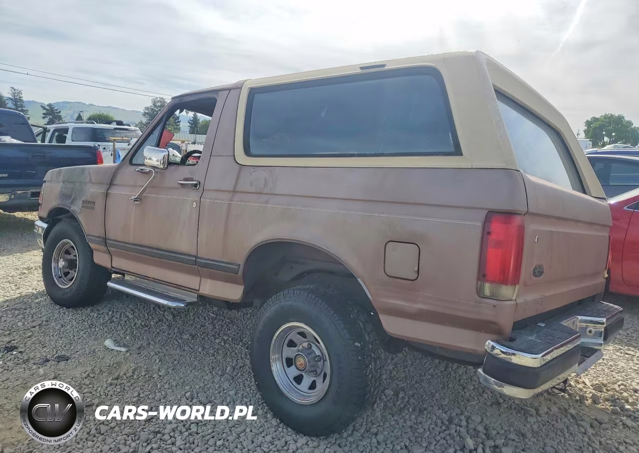 1989 Ford Bronco VIN:1FMEU15Y5KLB19044 - 2