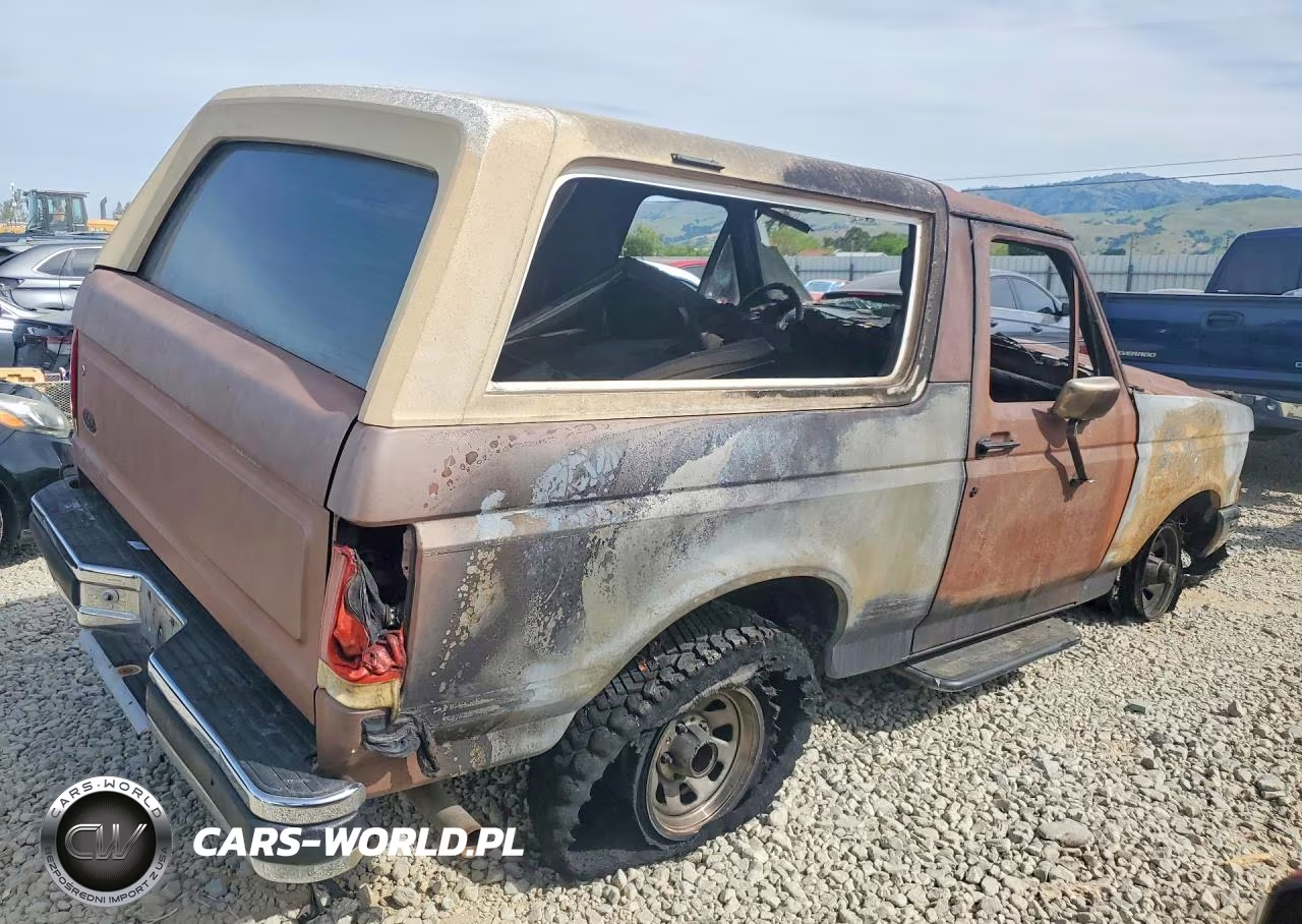 1989 Ford Bronco VIN:1FMEU15Y5KLB19044 - 3