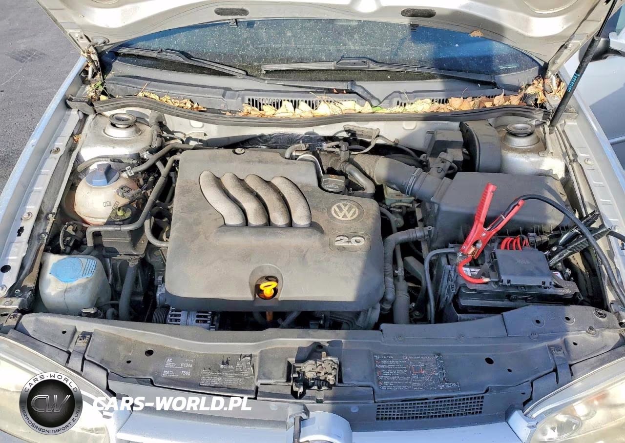 2004 Volkswagen Golf VIN:9BWBL61J544041545 - 11