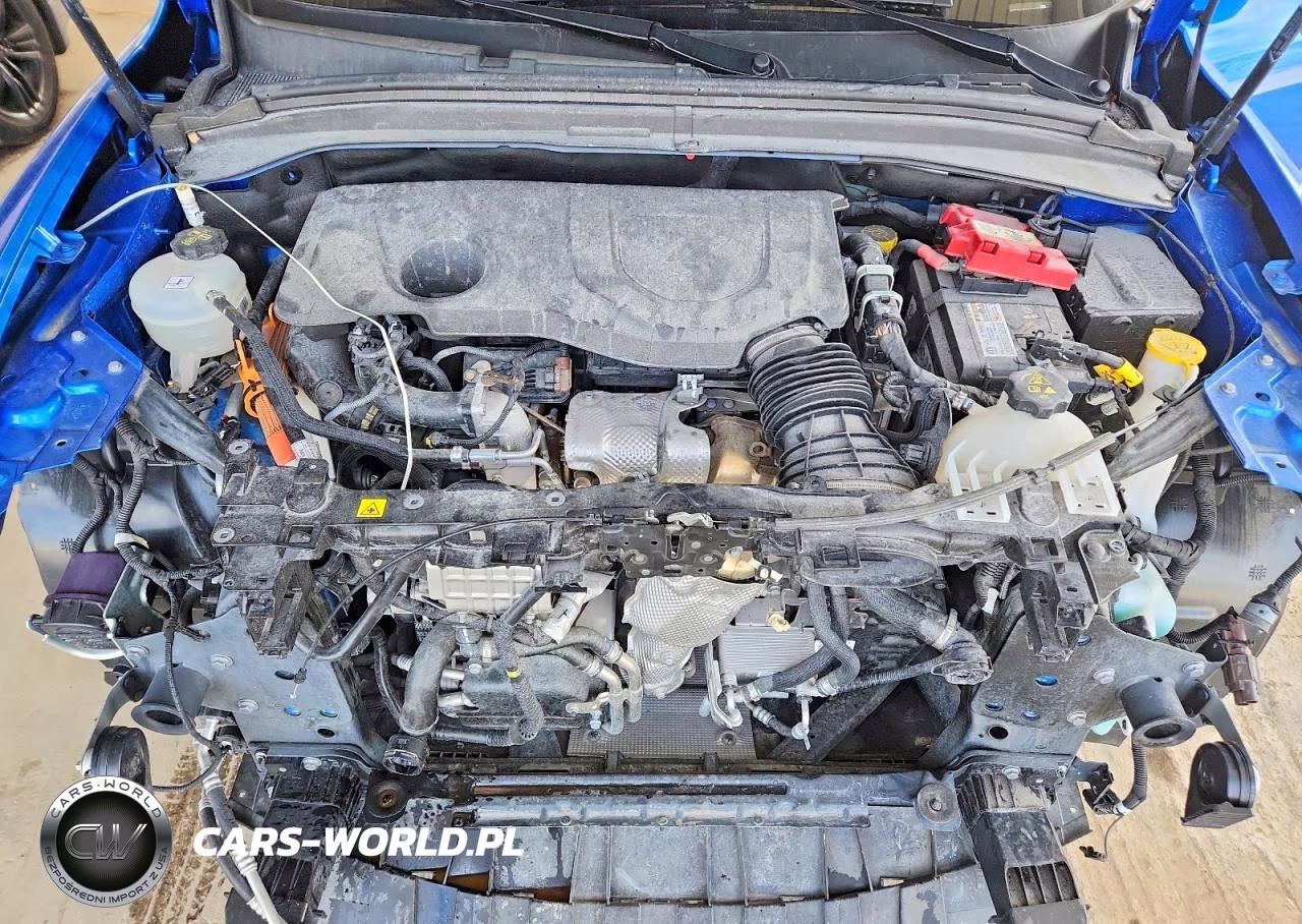 2024 Dodge Hornet R VIN:ZACPDFDW3R3A20021 - 12