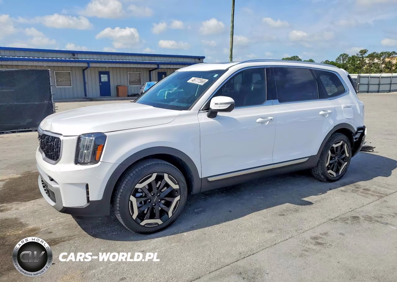 2024 Kia Telluride Ex VIN:5XYP3DGC5RG491931 - 1