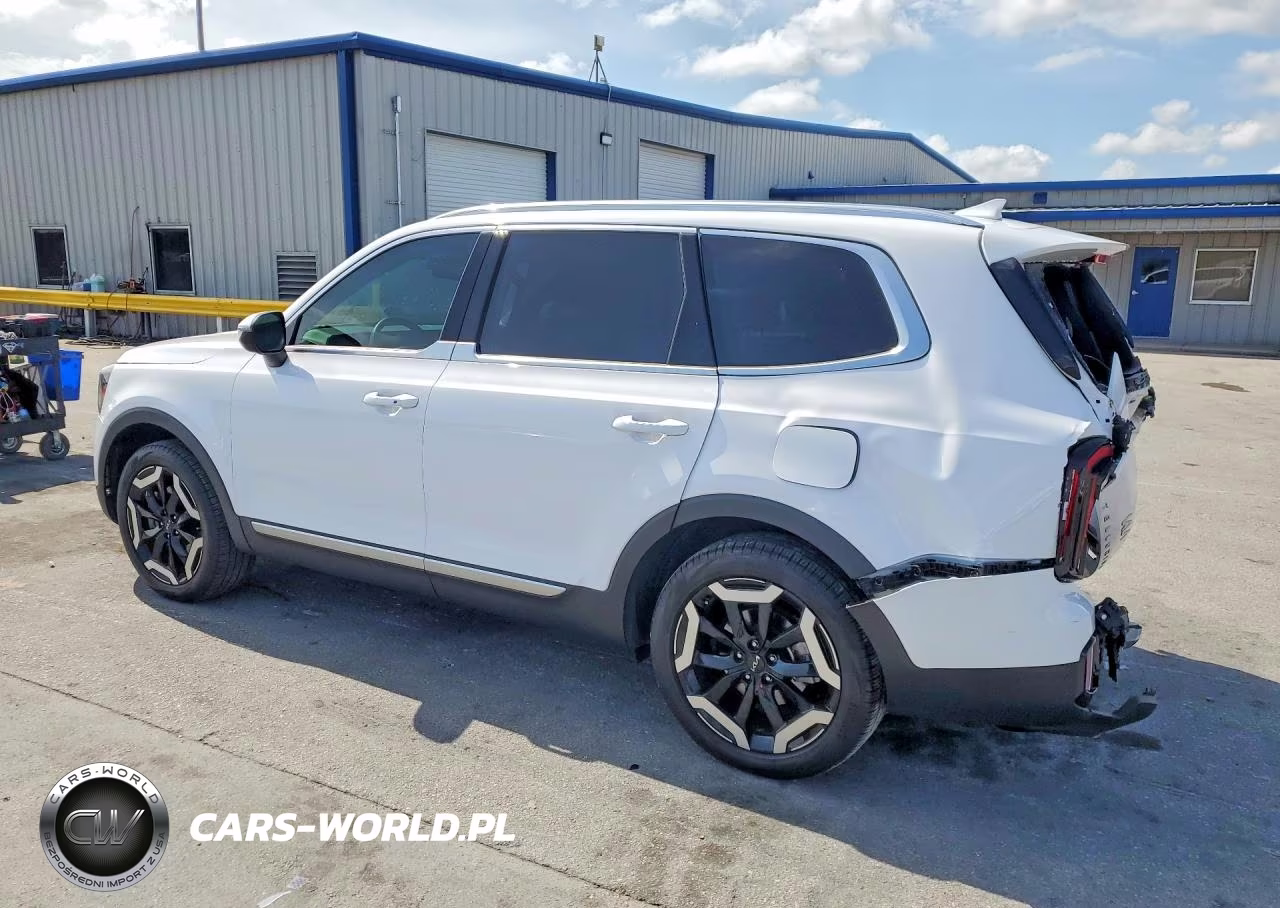 2024 Kia Telluride Ex VIN:5XYP3DGC5RG491931 - 2