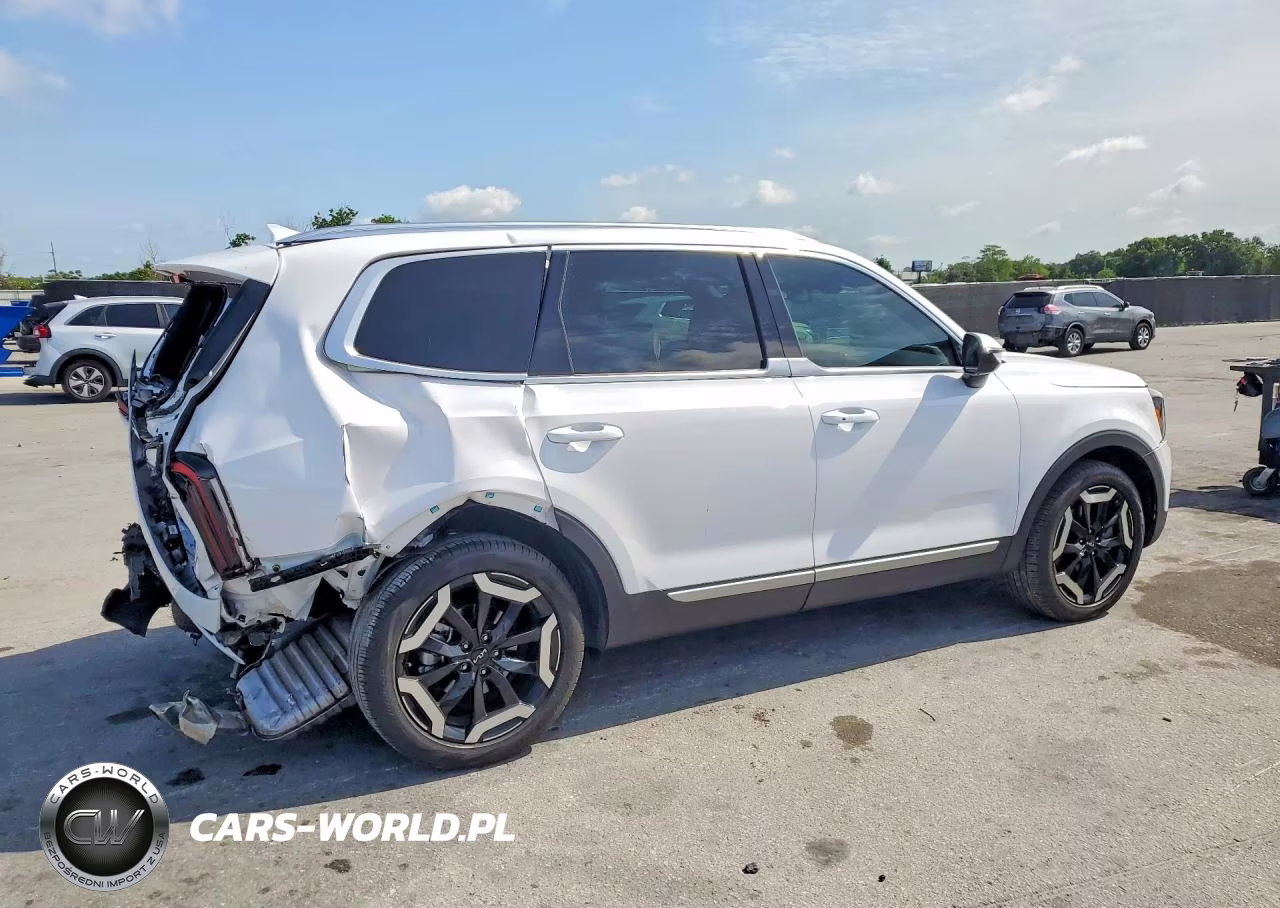 2024 Kia Telluride Ex VIN:5XYP3DGC5RG491931 - 3