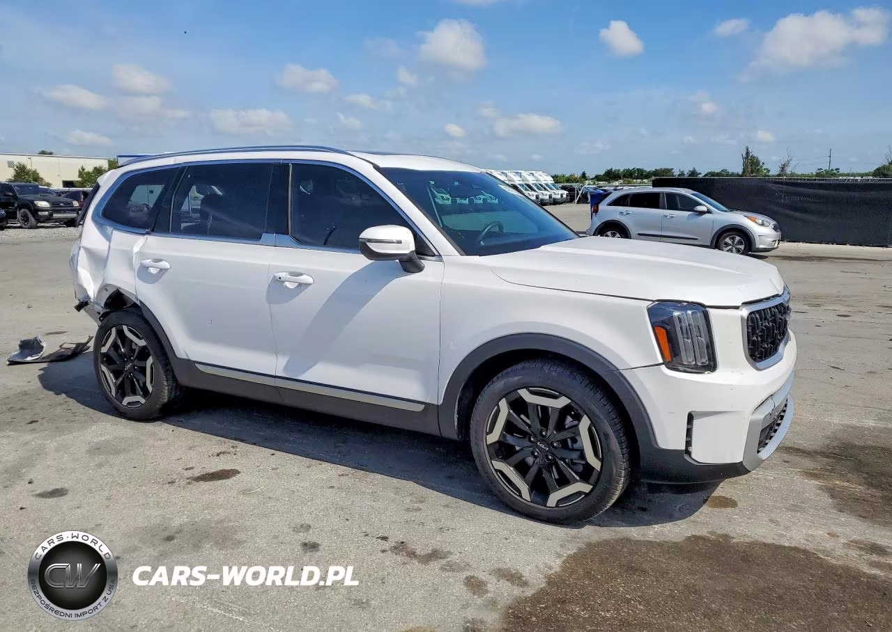 2024 Kia Telluride Ex VIN:5XYP3DGC5RG491931 - 4