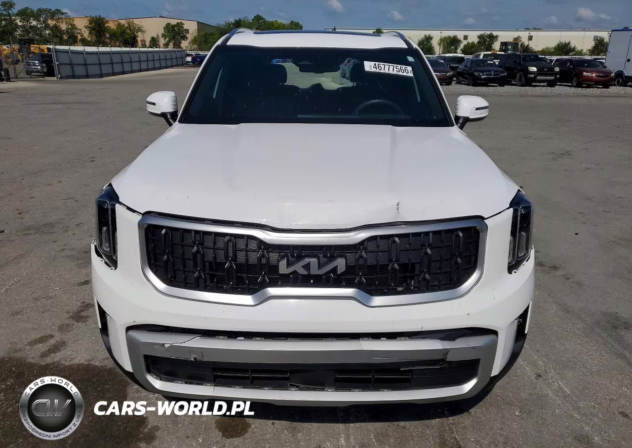 2024 Kia Telluride Ex VIN:5XYP3DGC5RG491931 - 5