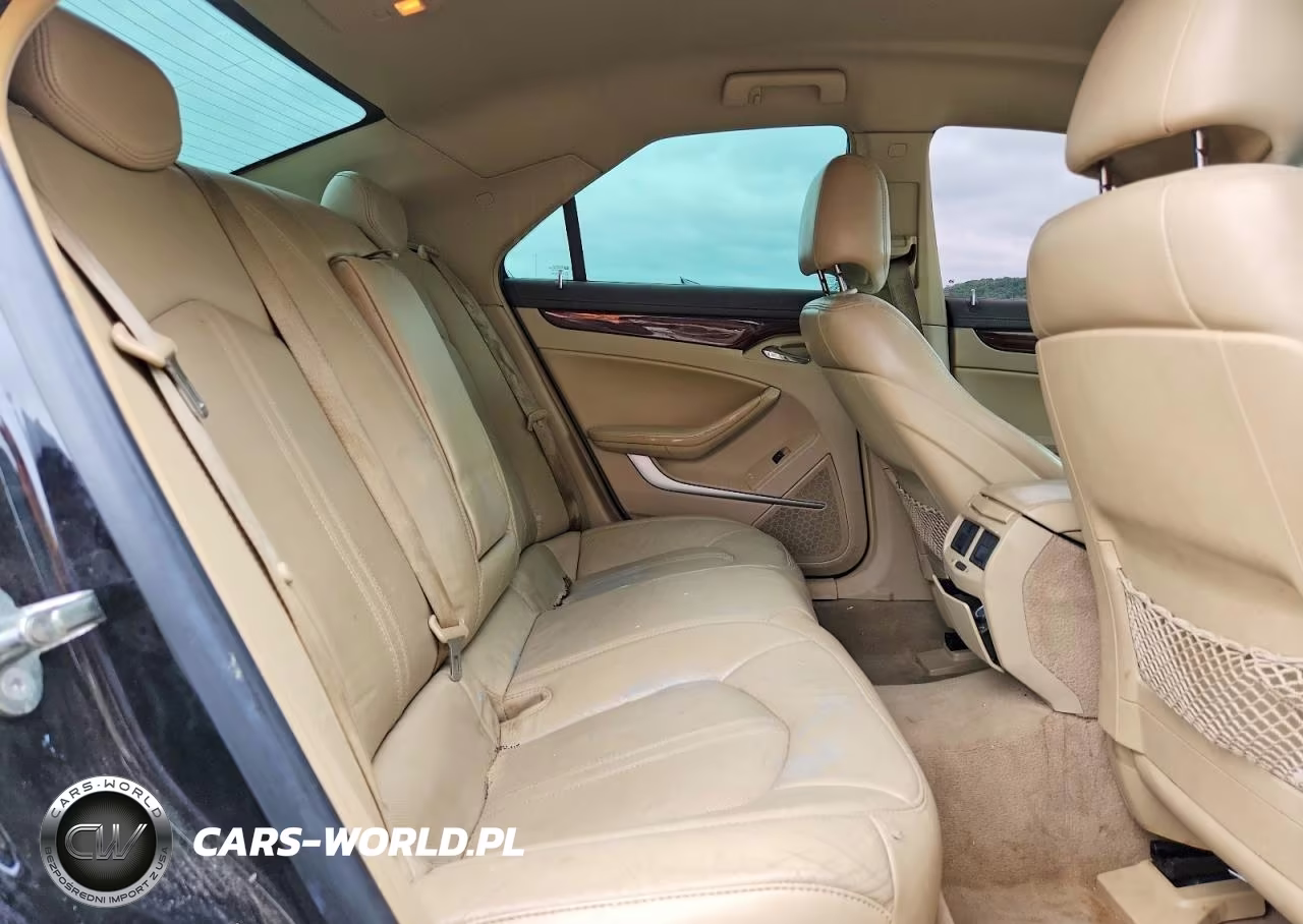 2010 Cadillac Cts Luxury Collection VIN:1G6DE5EG3A0138559 - 10