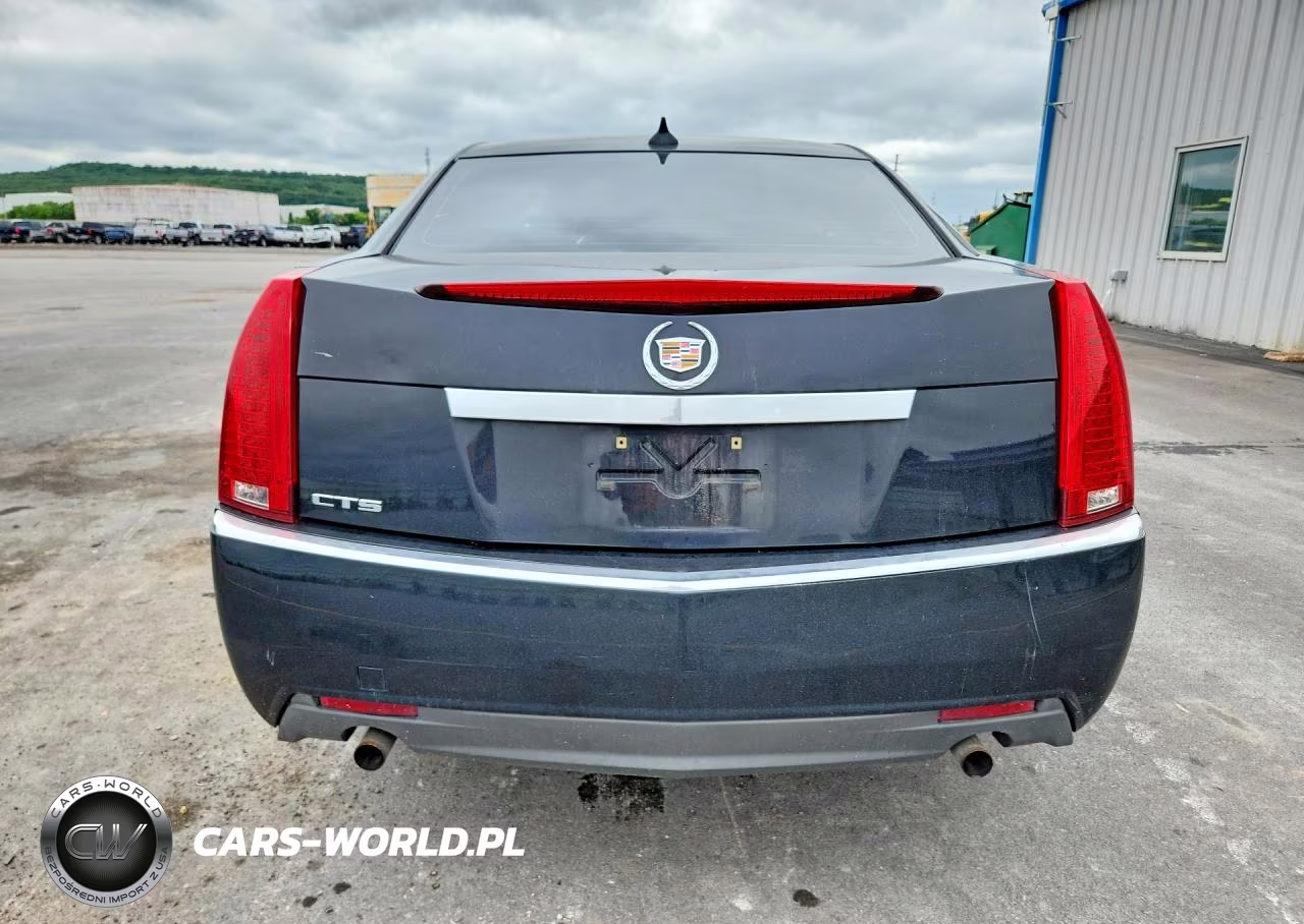2010 Cadillac Cts Luxury Collection VIN:1G6DE5EG3A0138559 - 6