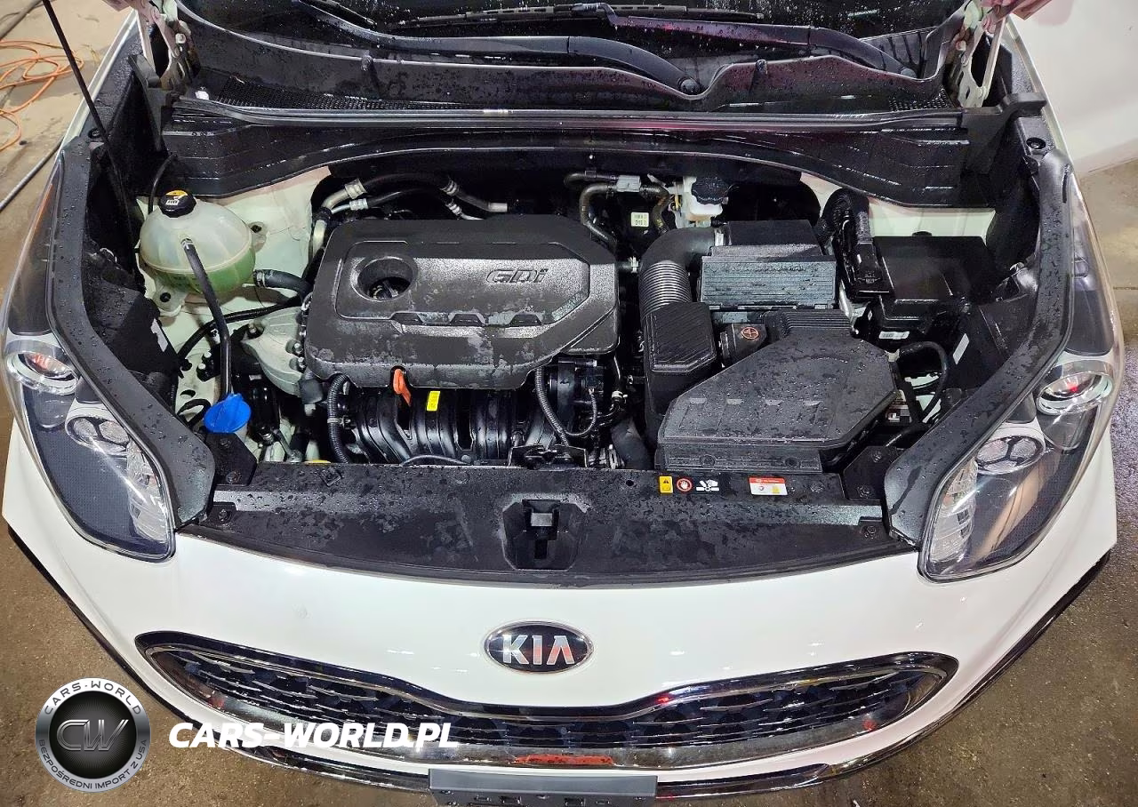 2020 Kia Sportage S VIN:KNDP6CAC2L7664299 - 12