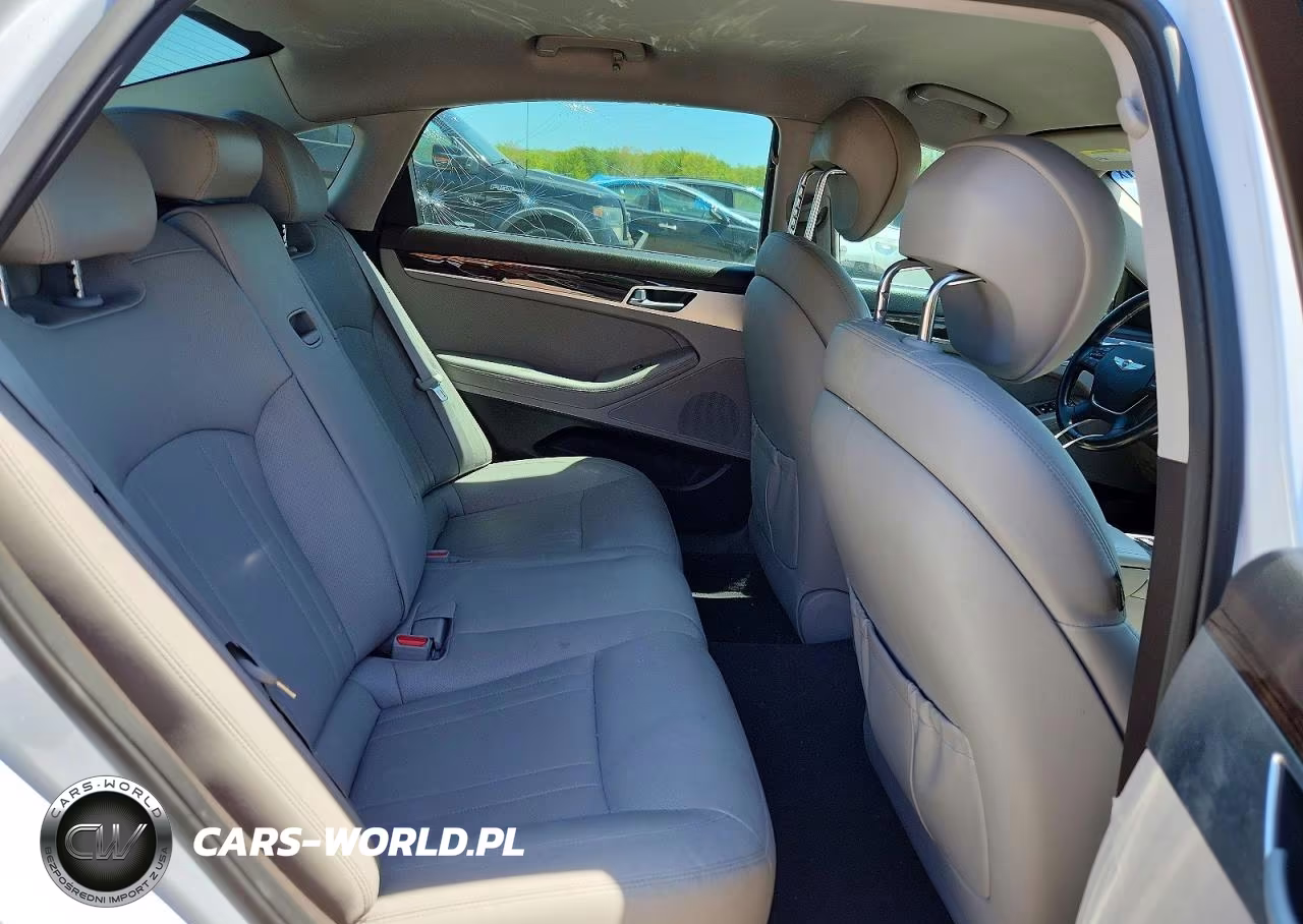 2015 Hyundai Genesis 3.8L VIN:KMHGN4JE6FU082685 - 10