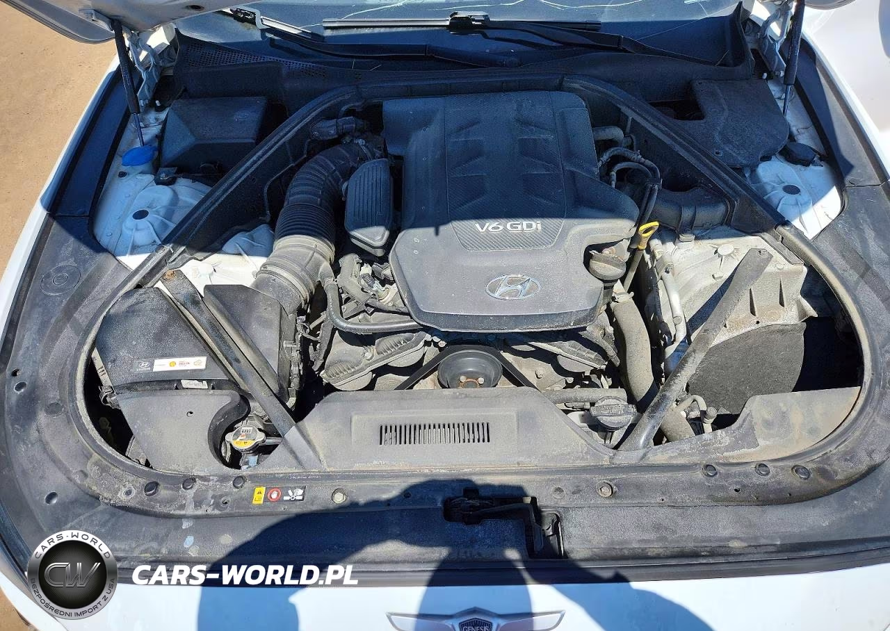 2015 Hyundai Genesis 3.8L VIN:KMHGN4JE6FU082685 - 11