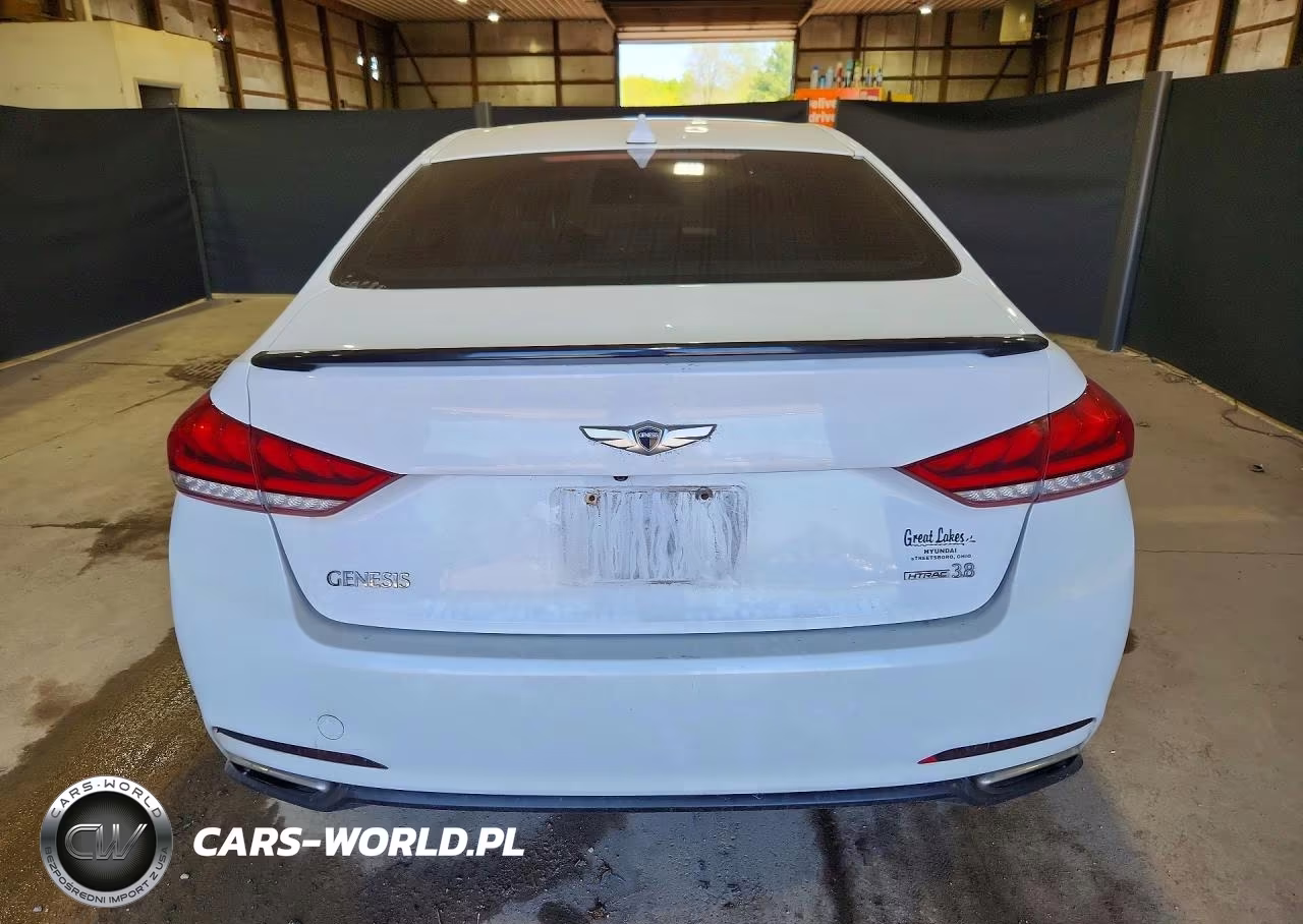 2015 Hyundai Genesis 3.8L VIN:KMHGN4JE6FU082685 - 6