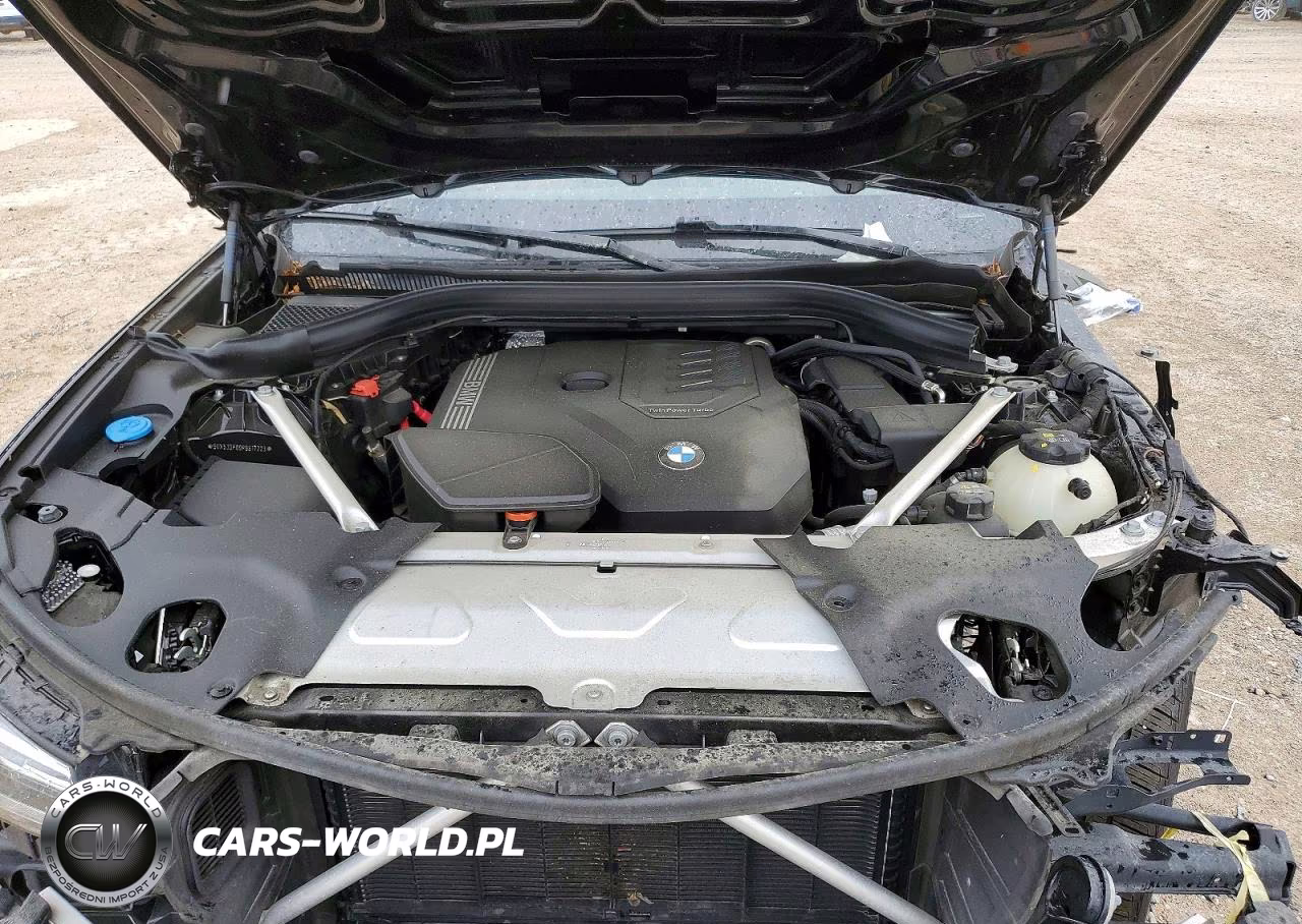 2023 BMW X3 xDrive30I VIN:5UX53DP09P9S17223 - 12