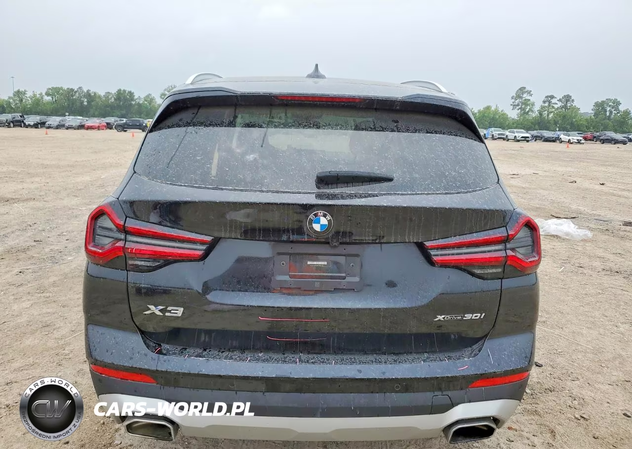 2023 BMW X3 xDrive30I VIN:5UX53DP09P9S17223 - 6