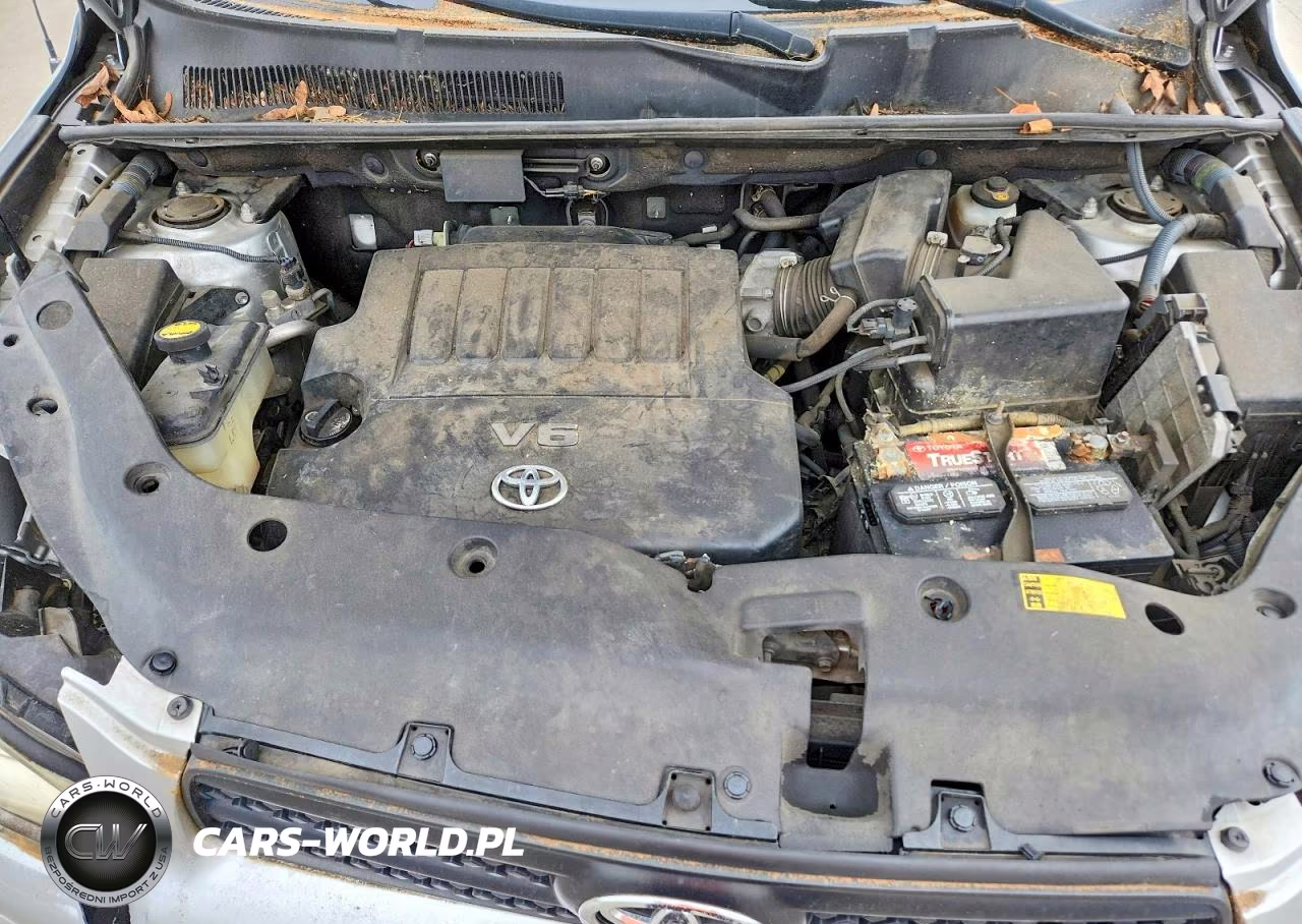 2006 Toyota Rav4 Base VIN:JTMBK33V865005194 - 11