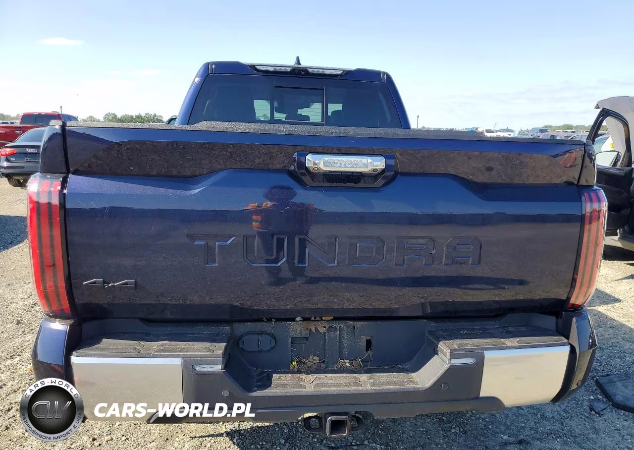 2023 Toyota Tundra Double Cab Limited VIN:5TFJA5DA1PX091248 - 6